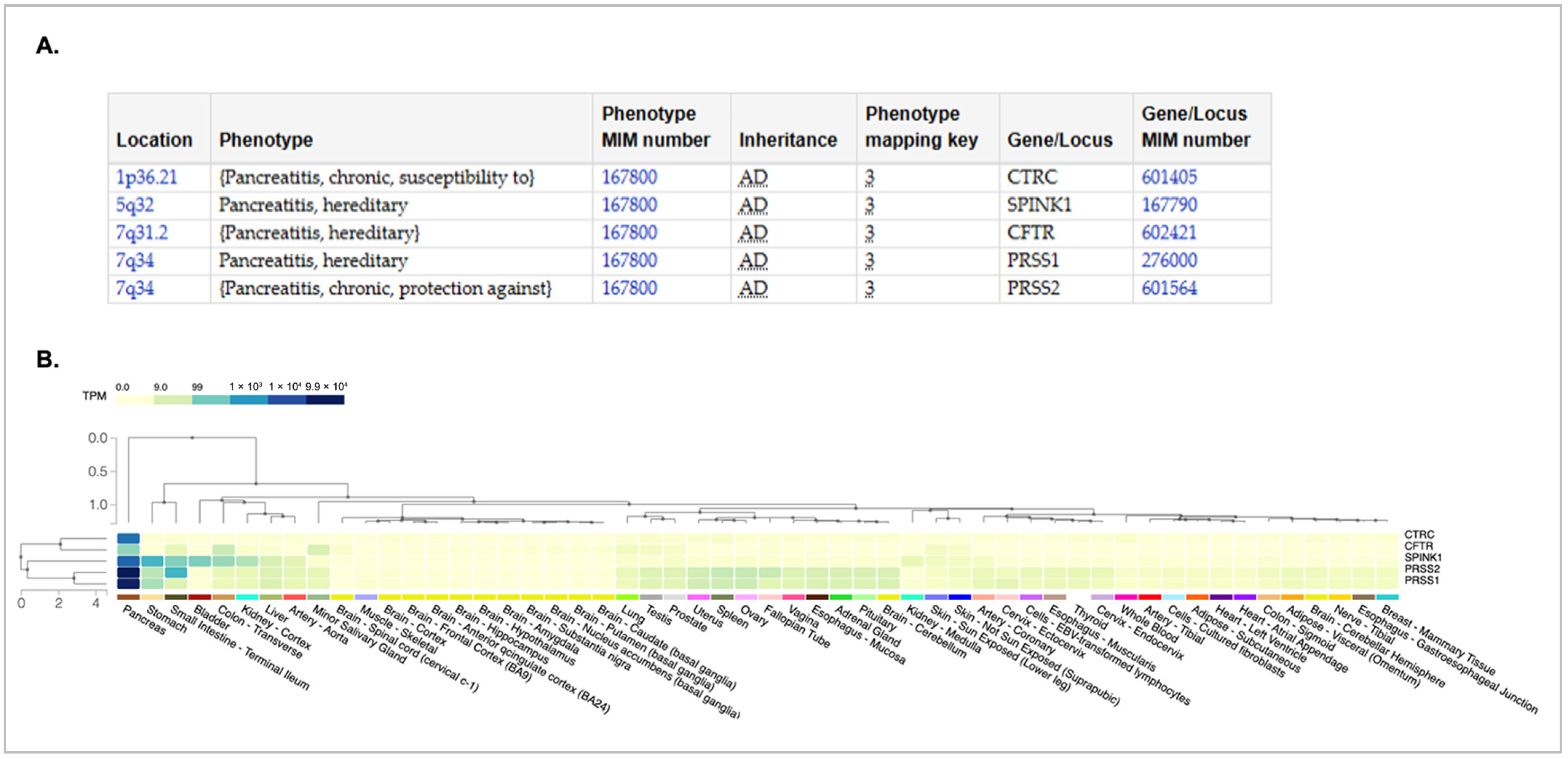 Genes 16 00603 g001 Genes 16 00603 g001