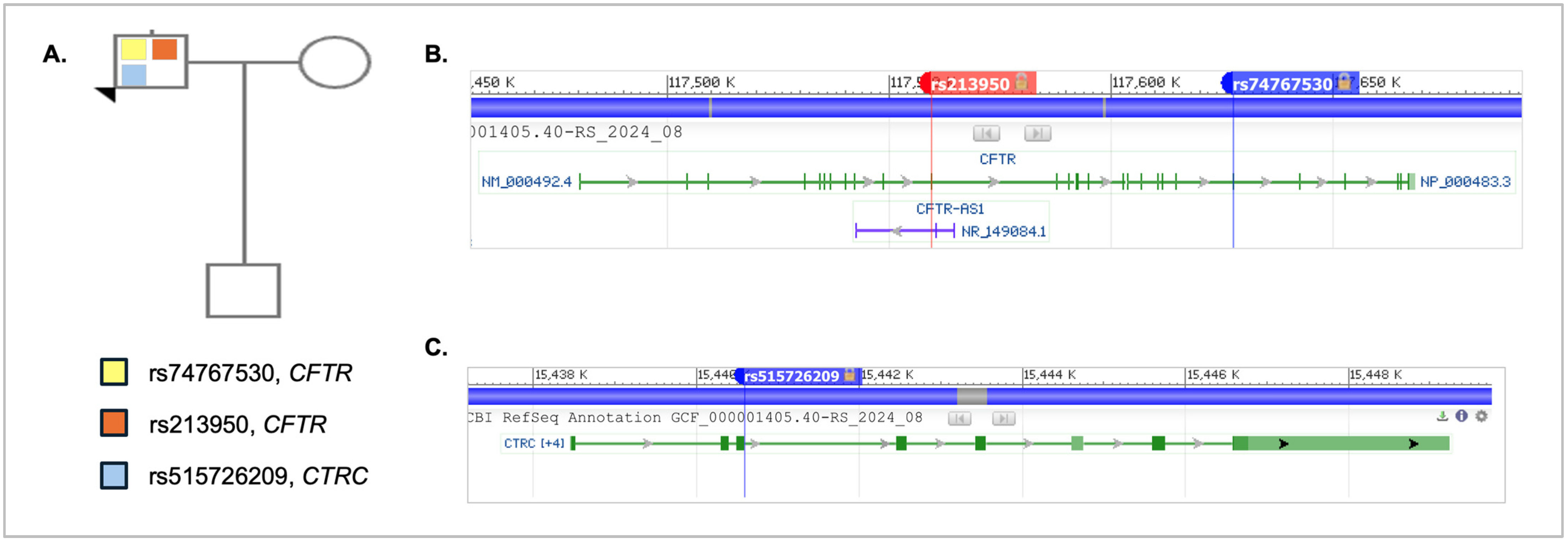 Genes 16 00603 g002 Genes 16 00603 g002