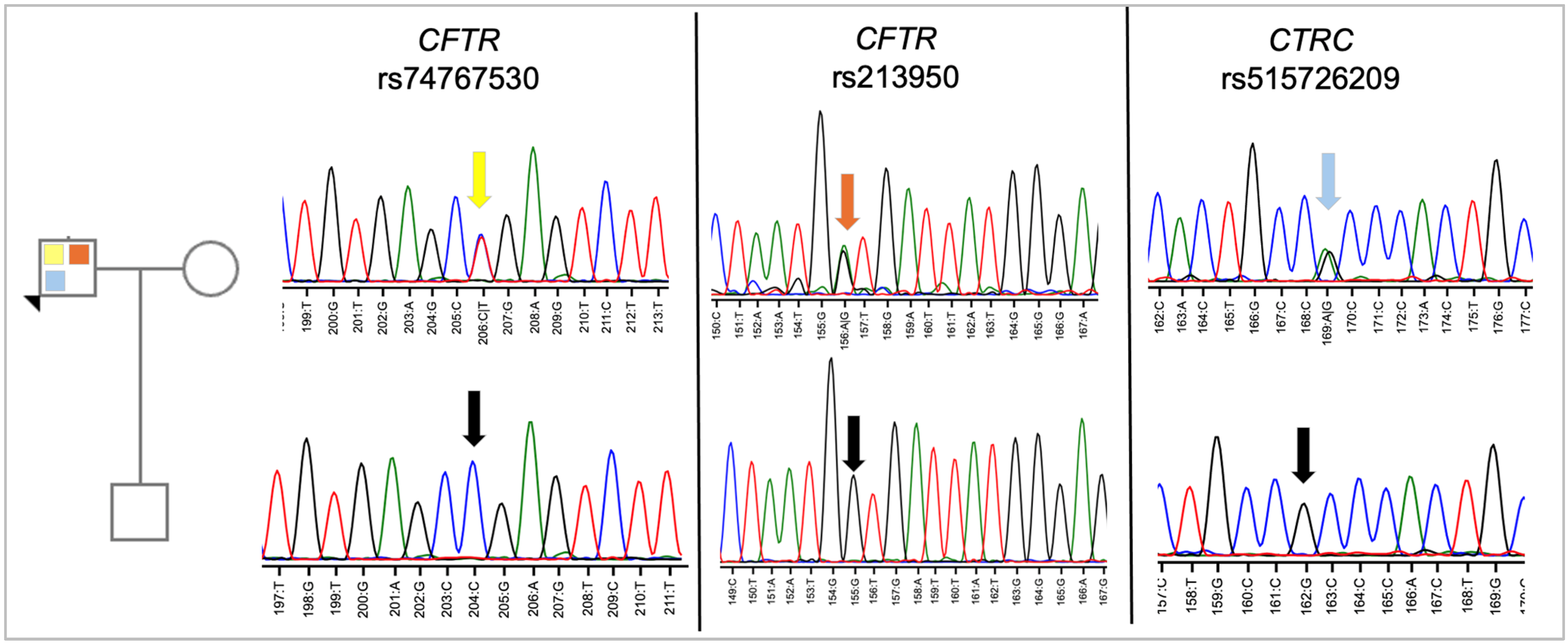 Genes 16 00603 g003 Genes 16 00603 g003