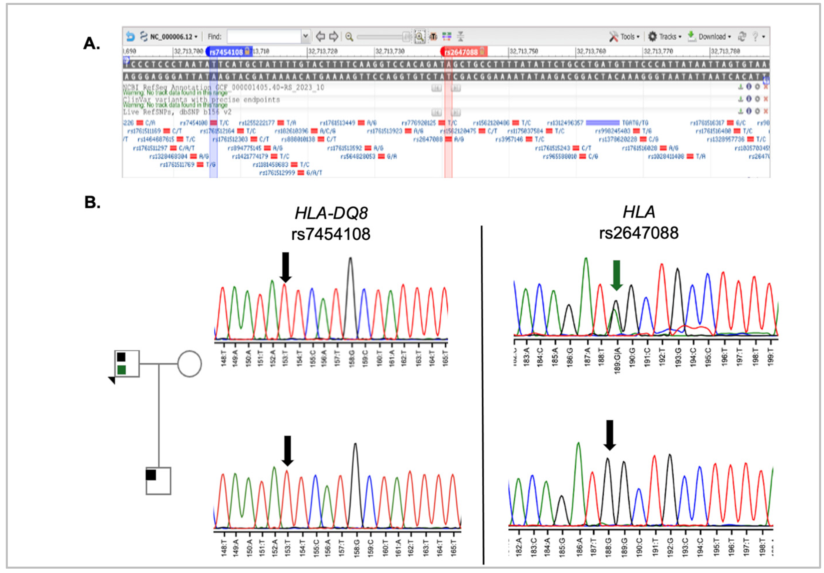 Genes 16 00603 g004 Genes 16 00603 g004