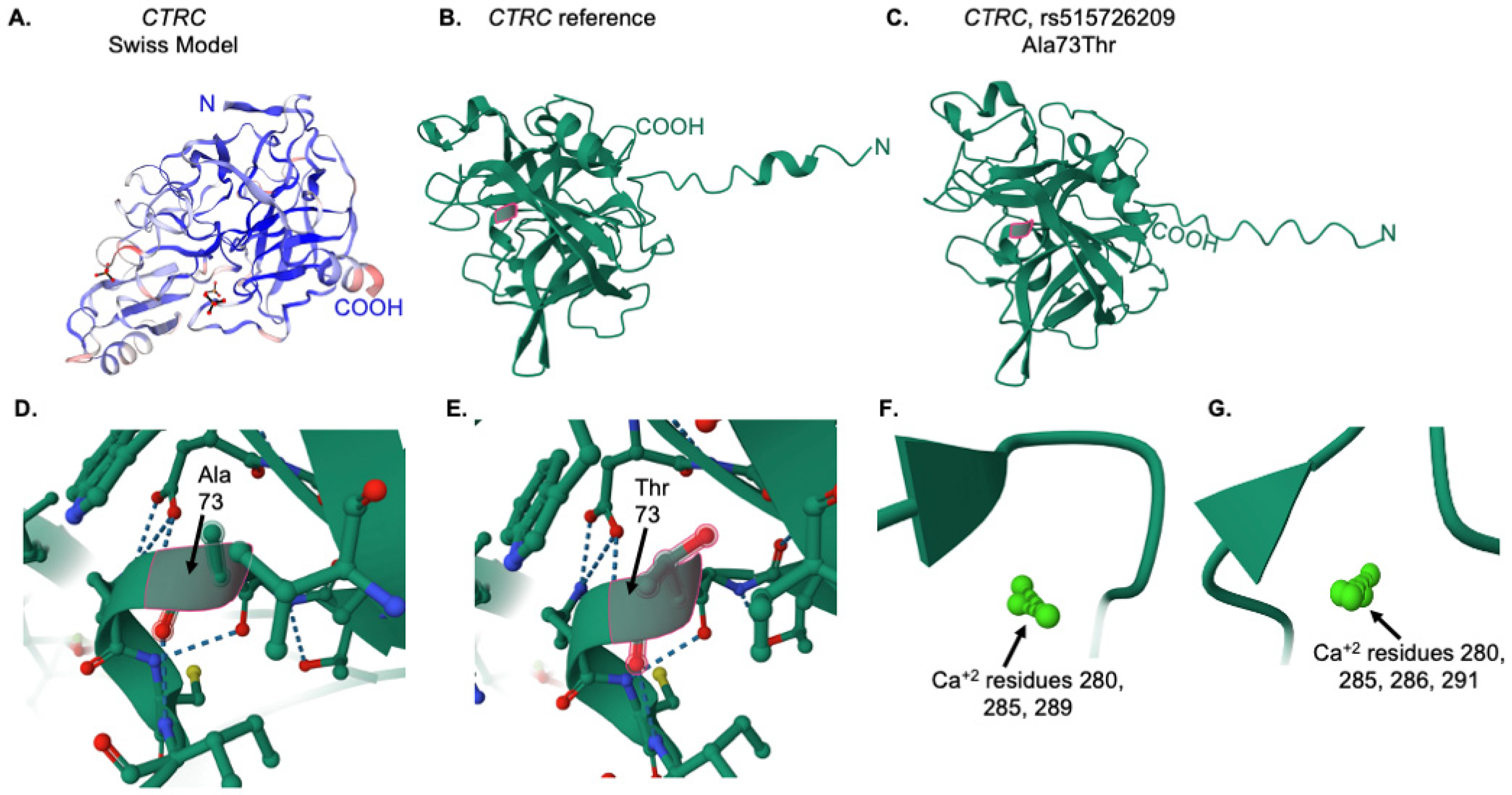 Genes 16 00603 g008 Genes 16 00603 g008