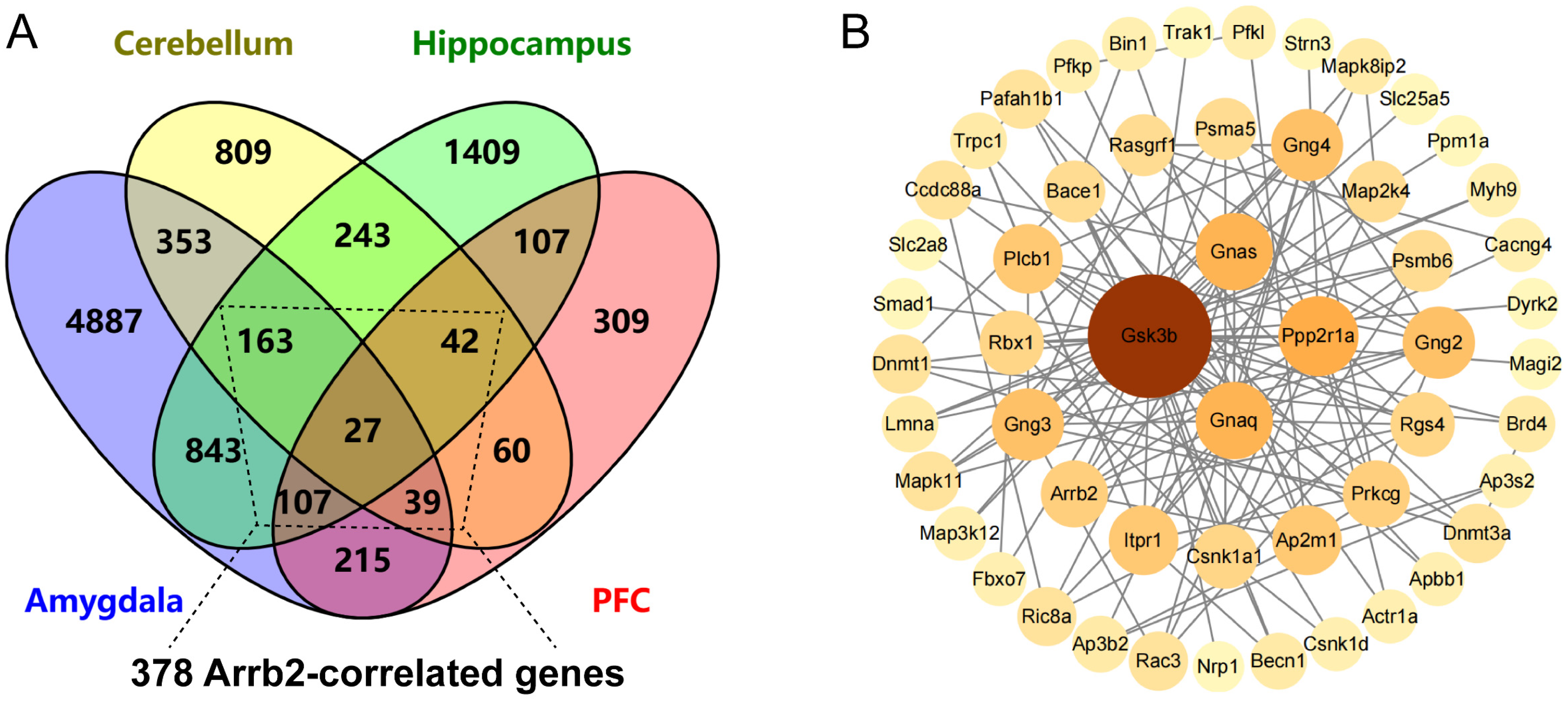 Genes 16 00605 g004