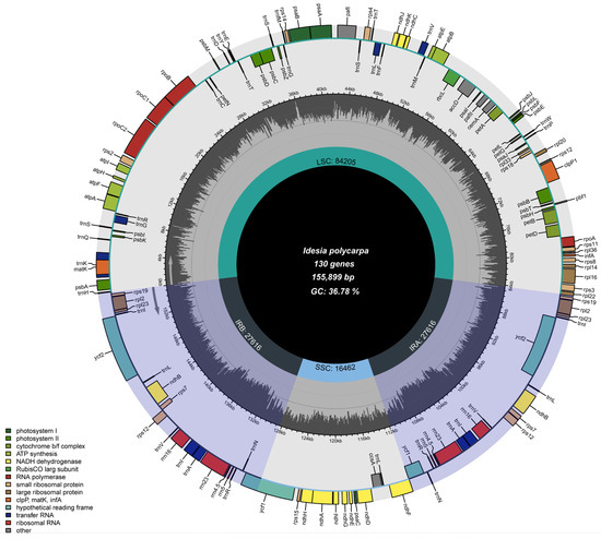The Complete Chloroplast Genome of Idesia polycarpa and
