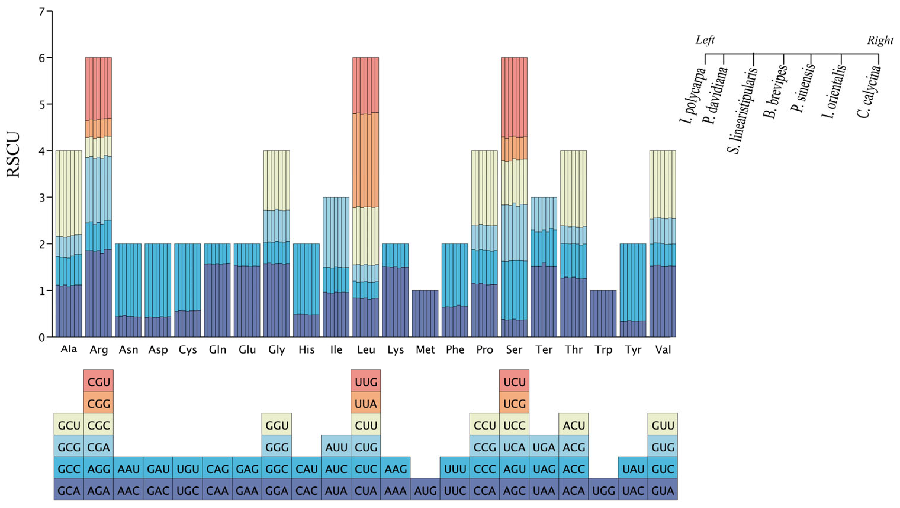 Genes 16 00611 g004