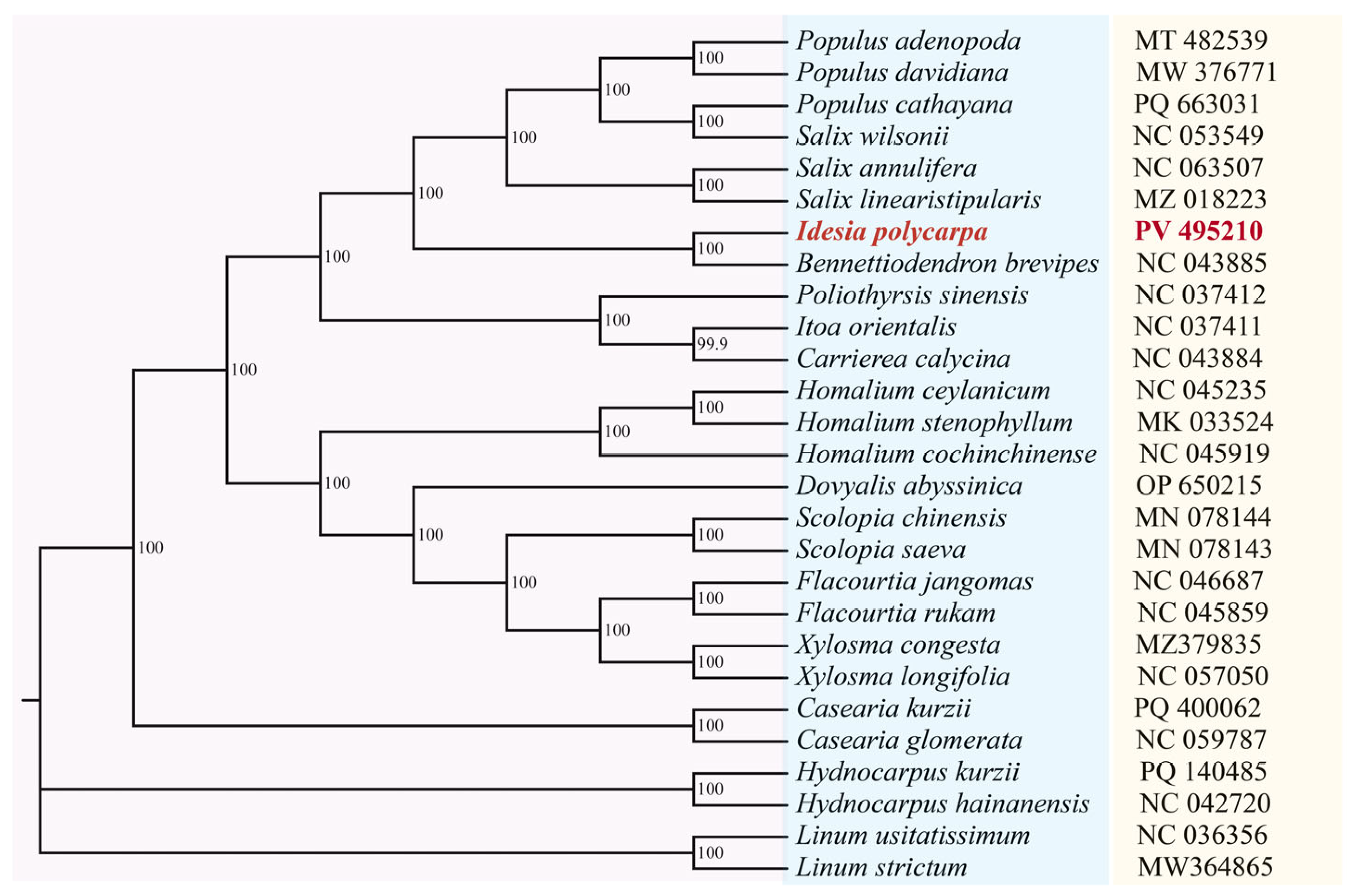 Genes 16 00611 g009