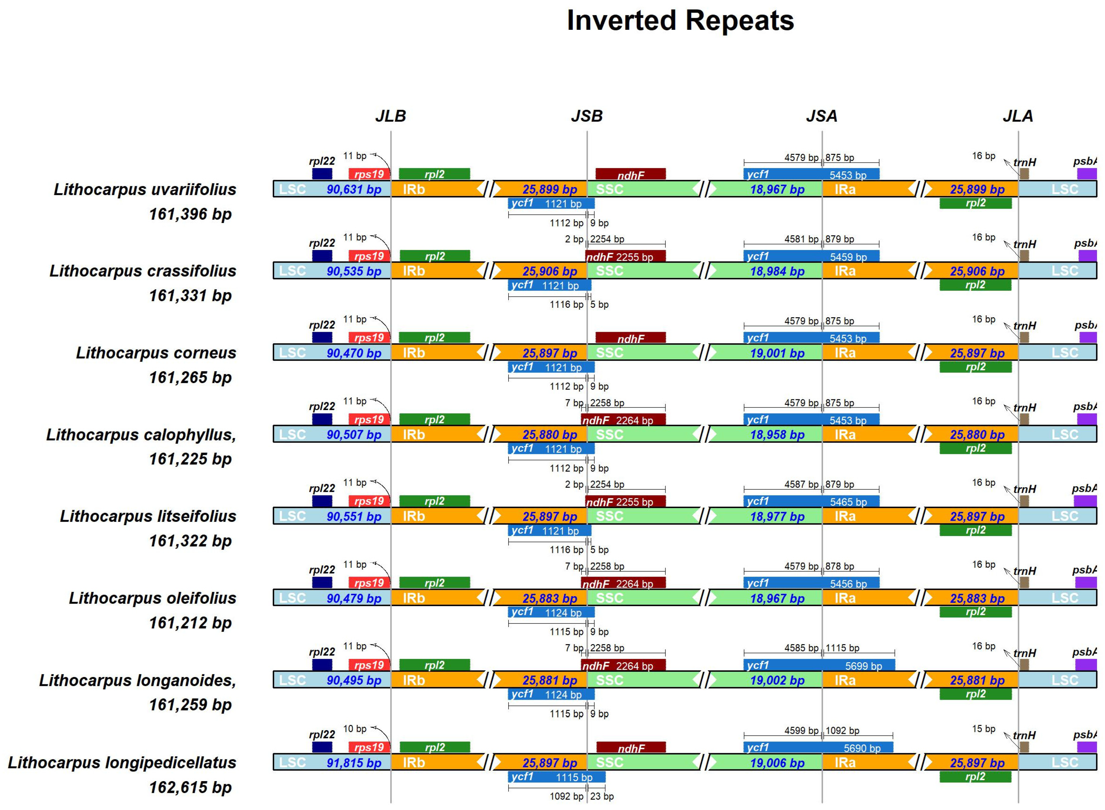 Genes 16 00616 g004
