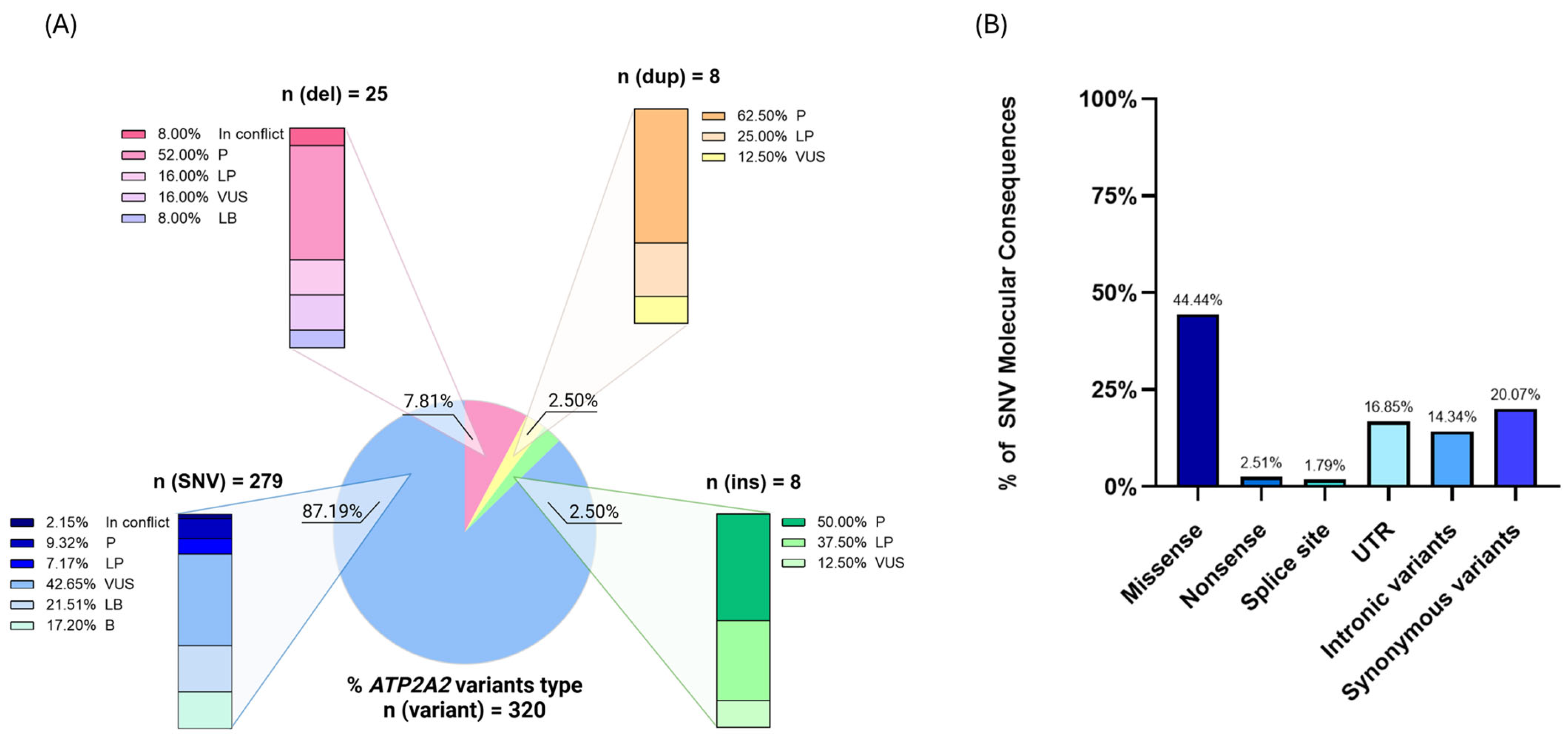 Genes 16 00619 g001