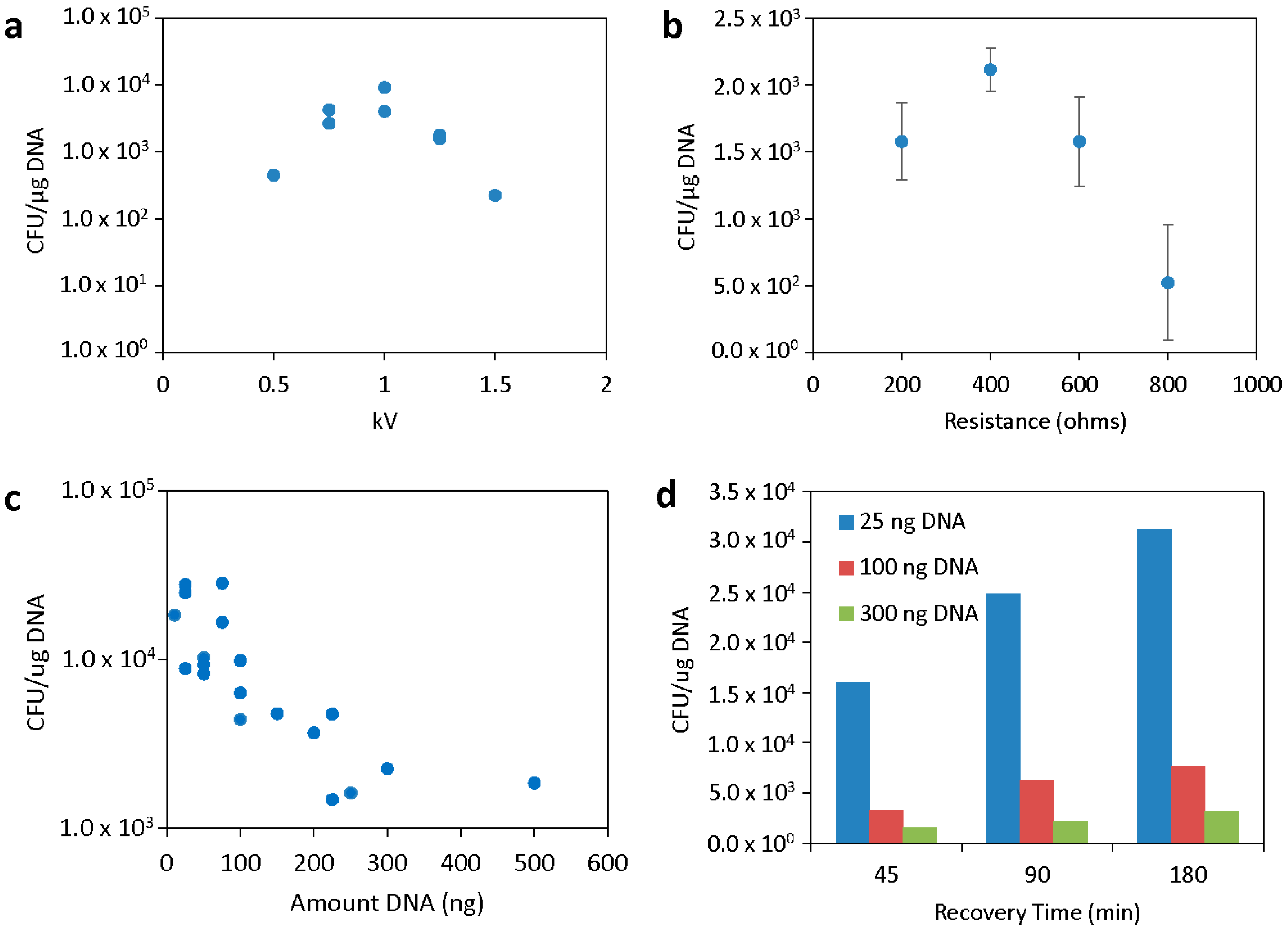 Genes 16 00626 g001 Genes 16 00626 g001
