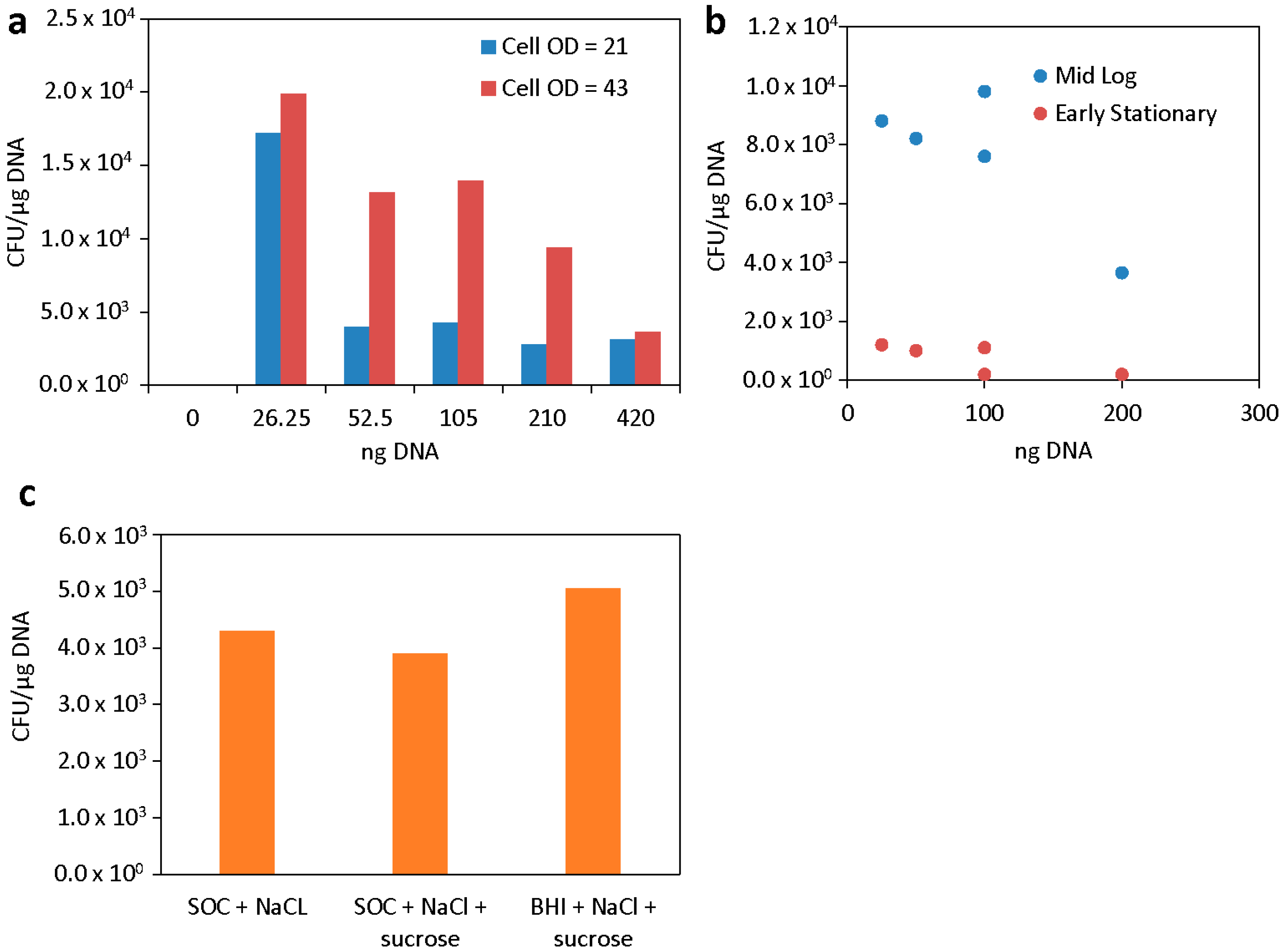 Genes 16 00626 g002 Genes 16 00626 g002
