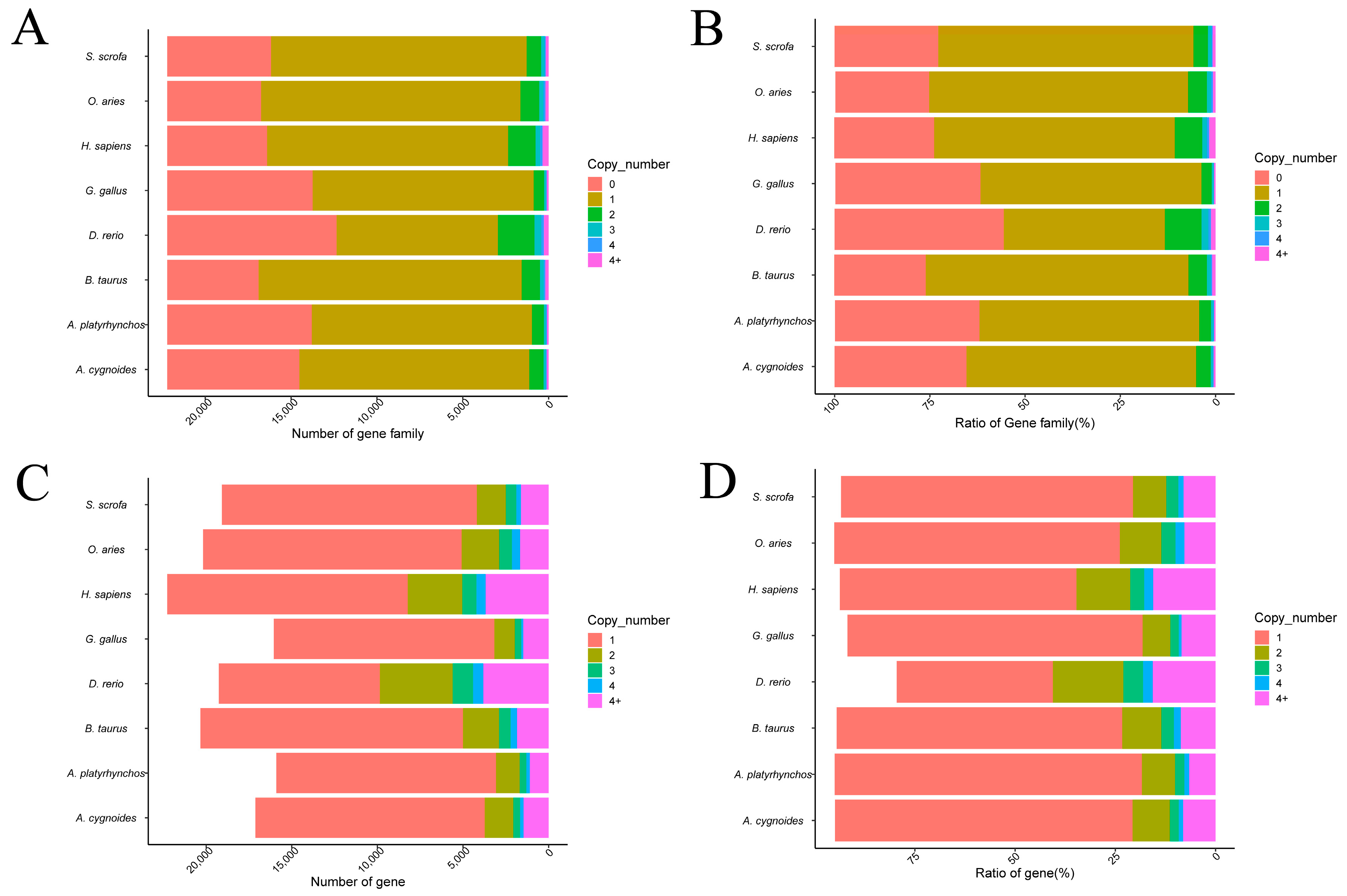 Genes 16 00627 g001