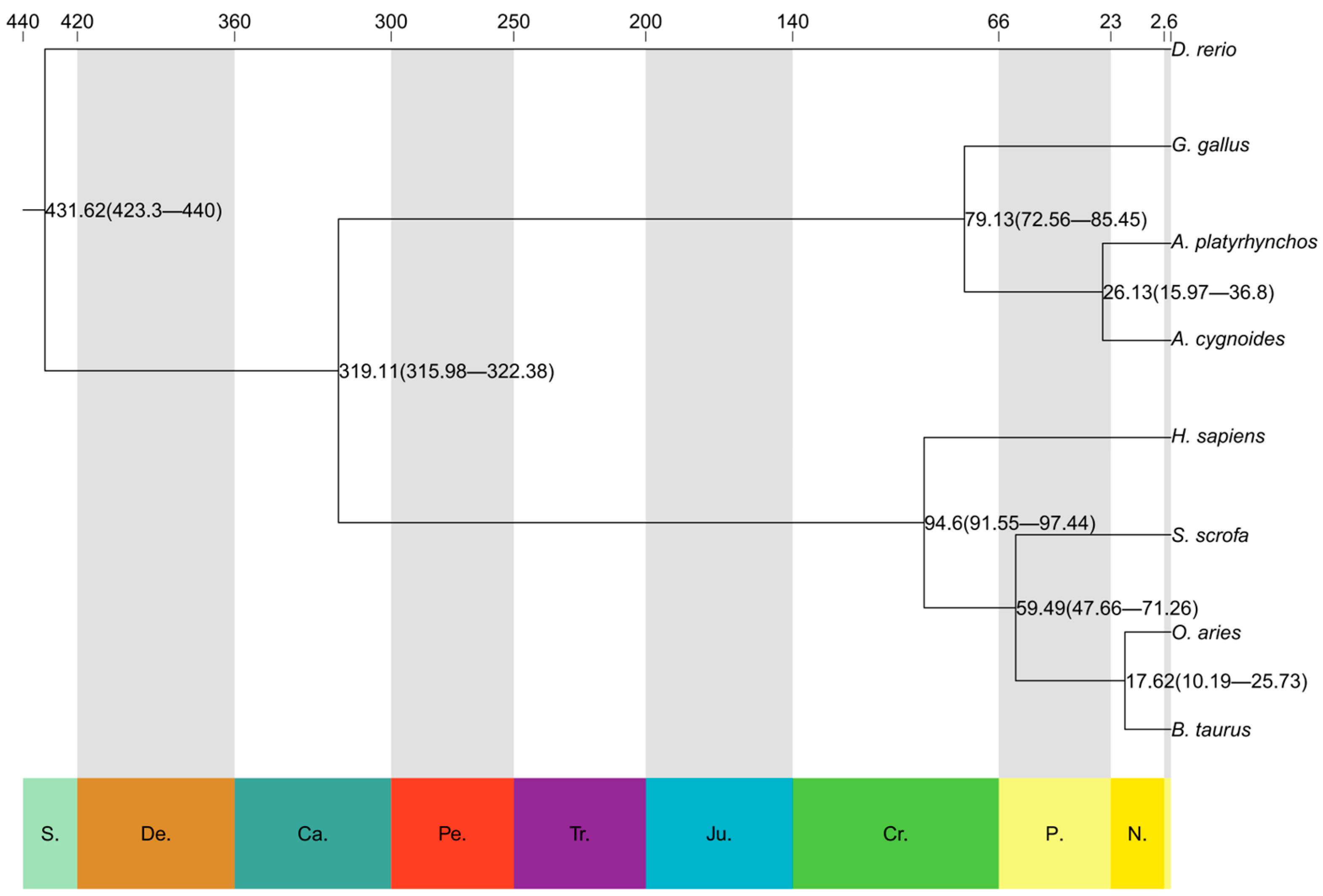 Genes 16 00627 g004