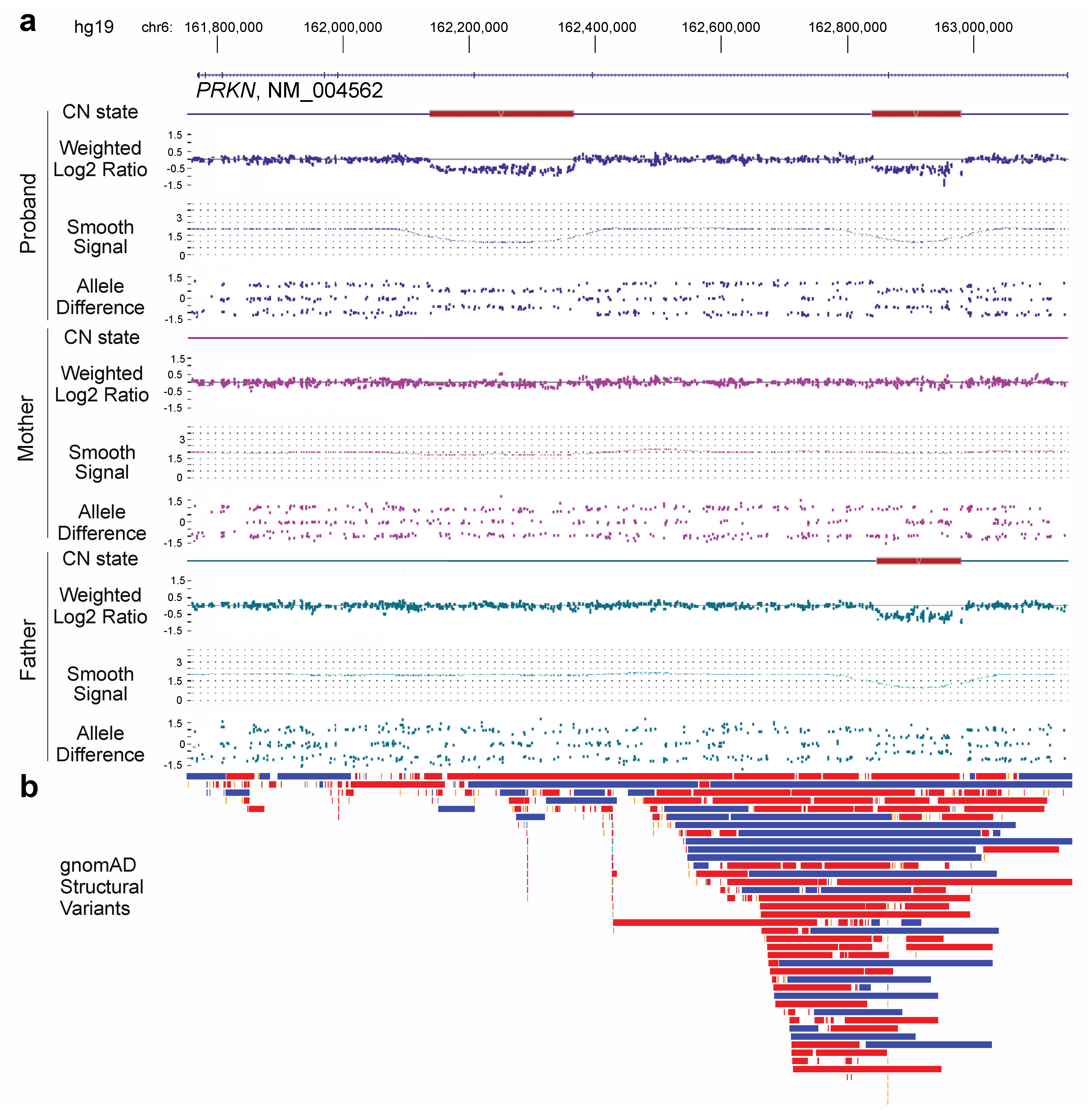 Genes 16 00630 g001