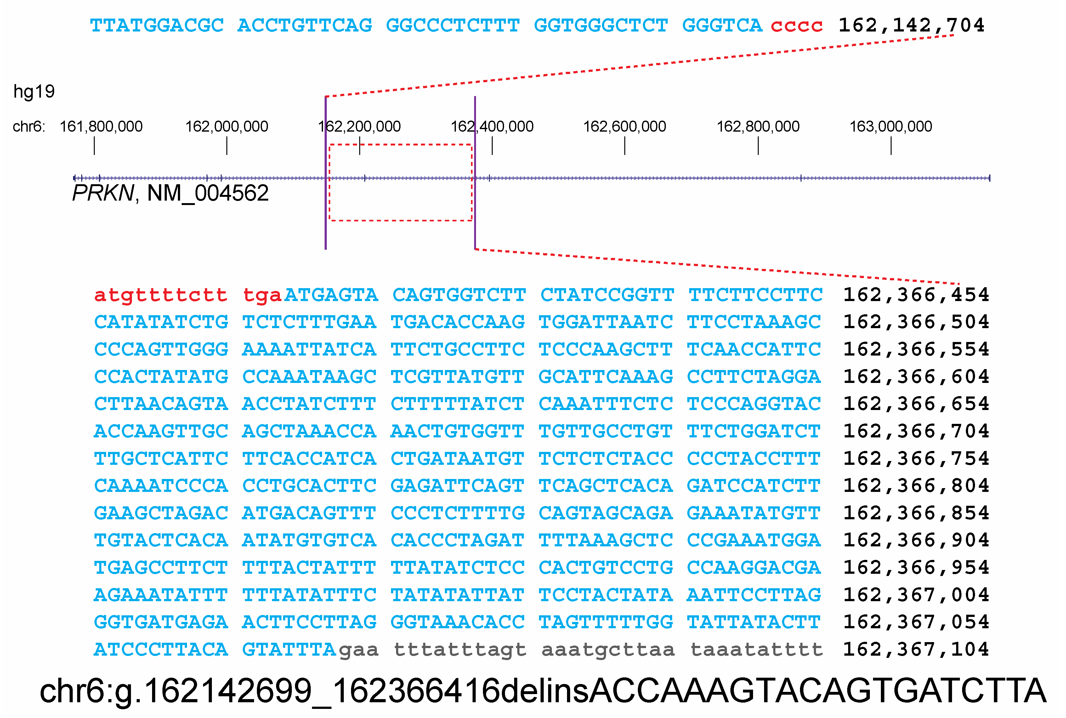 Genes 16 00630 g002