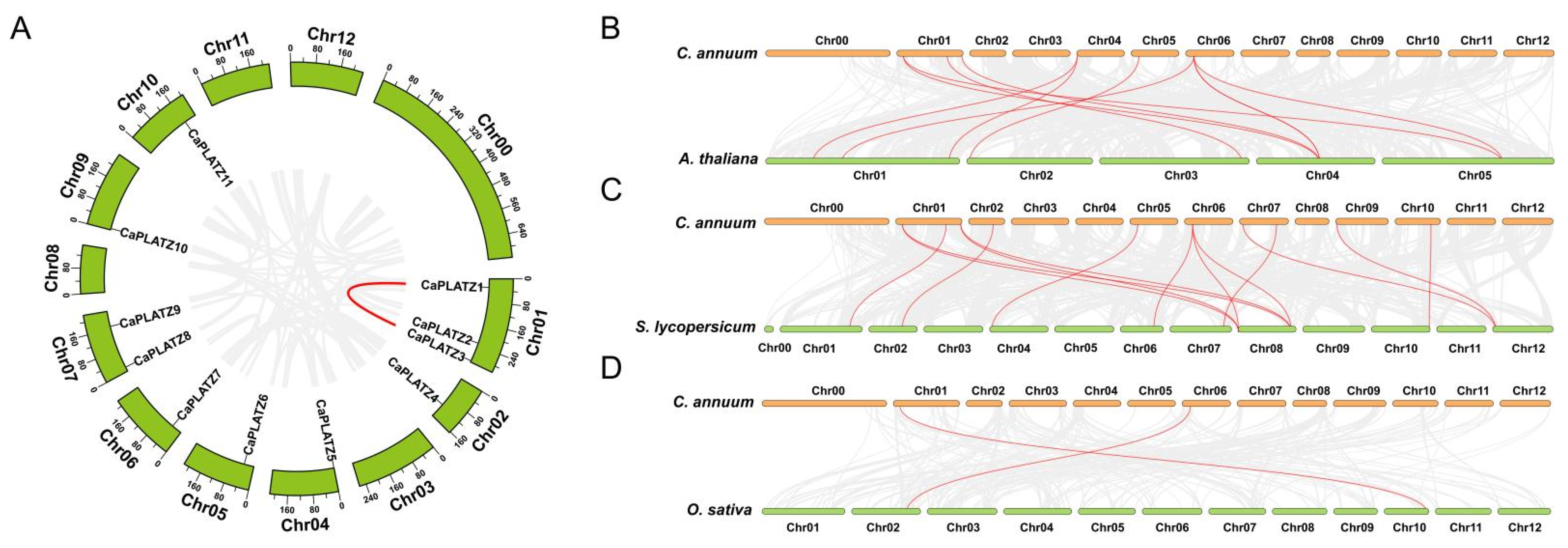 Genes 16 00632 g002