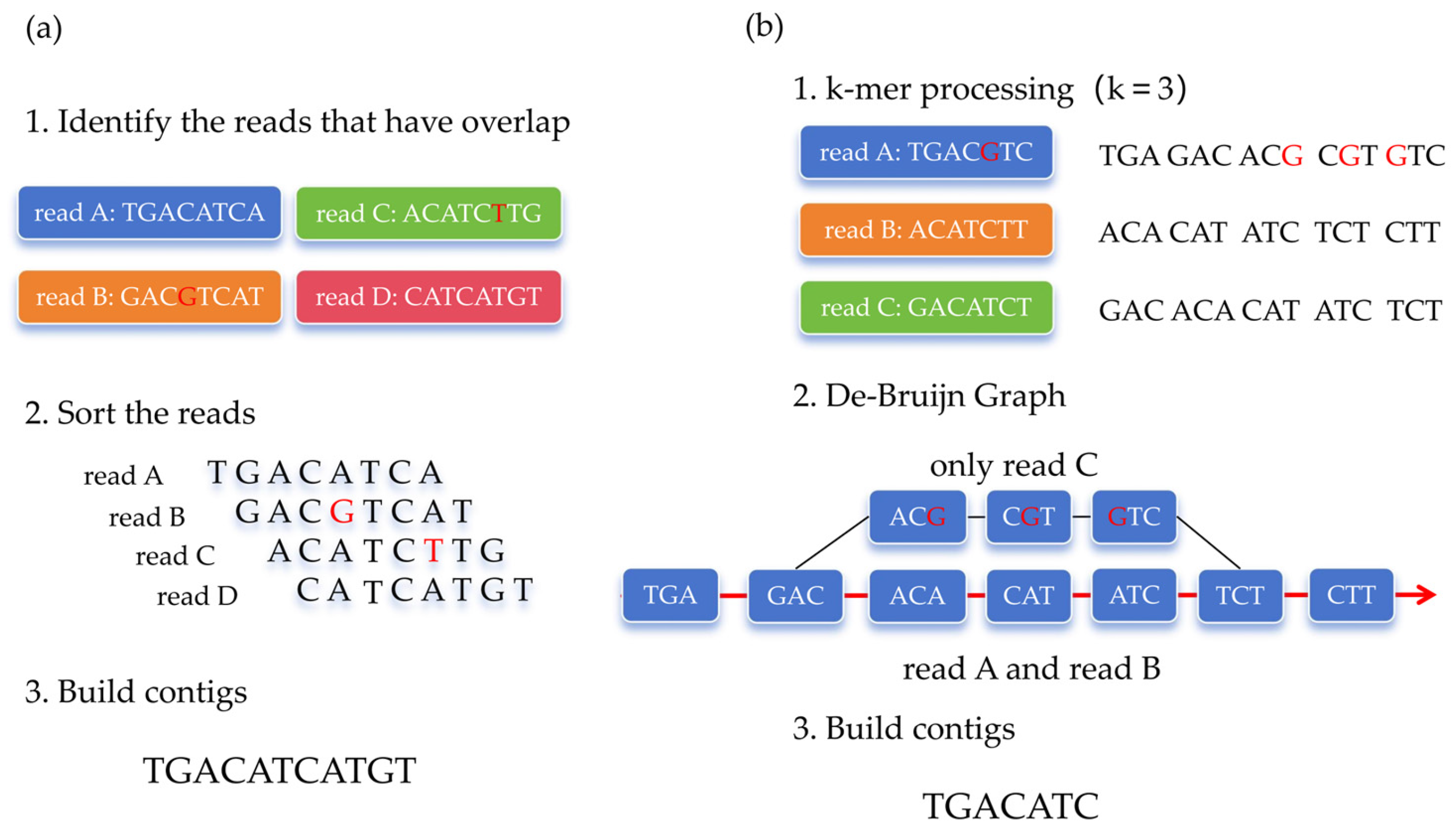 Genes 16 00636 g002 Genes 16 00636 g002