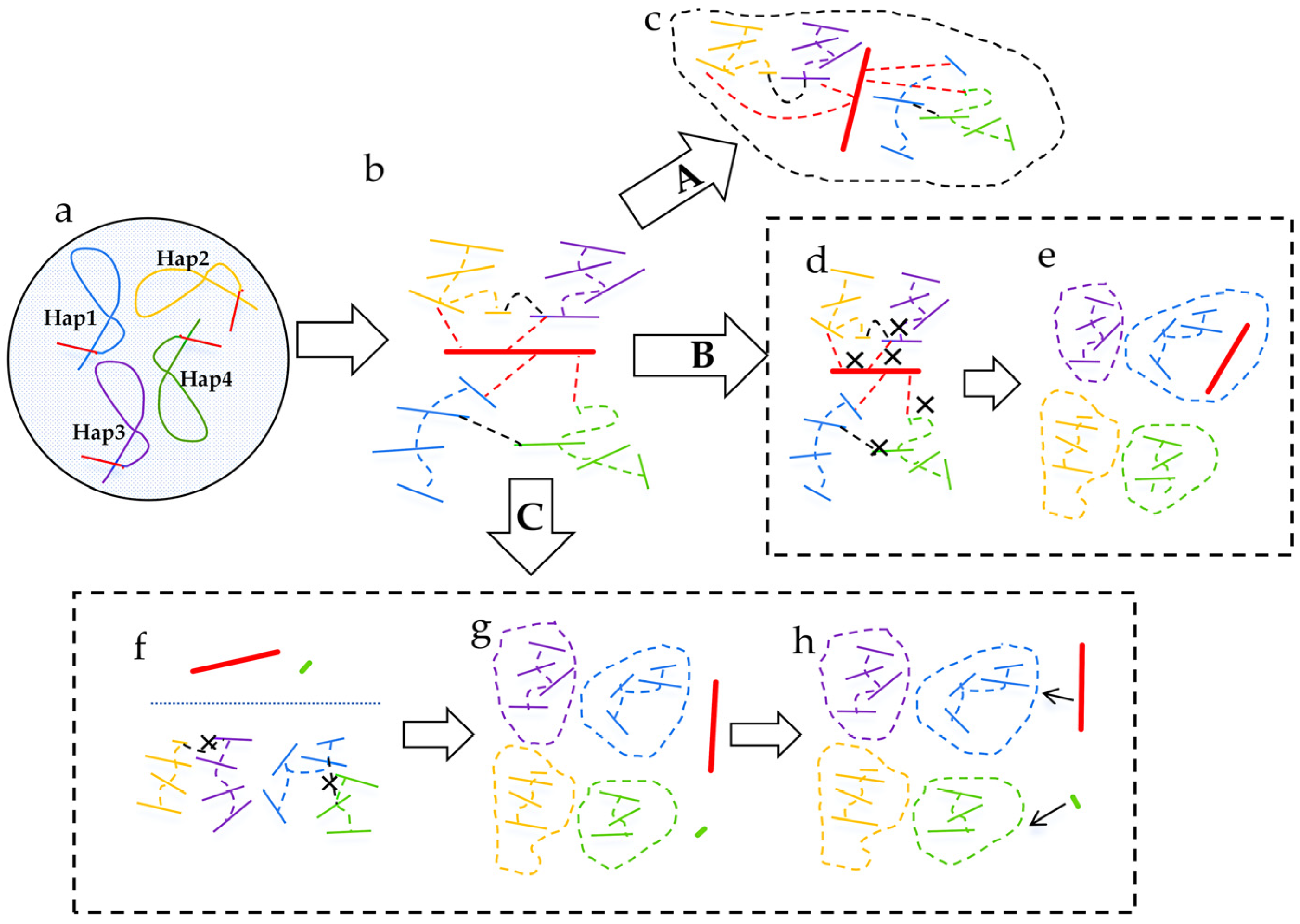 Genes 16 00636 g003 Genes 16 00636 g003