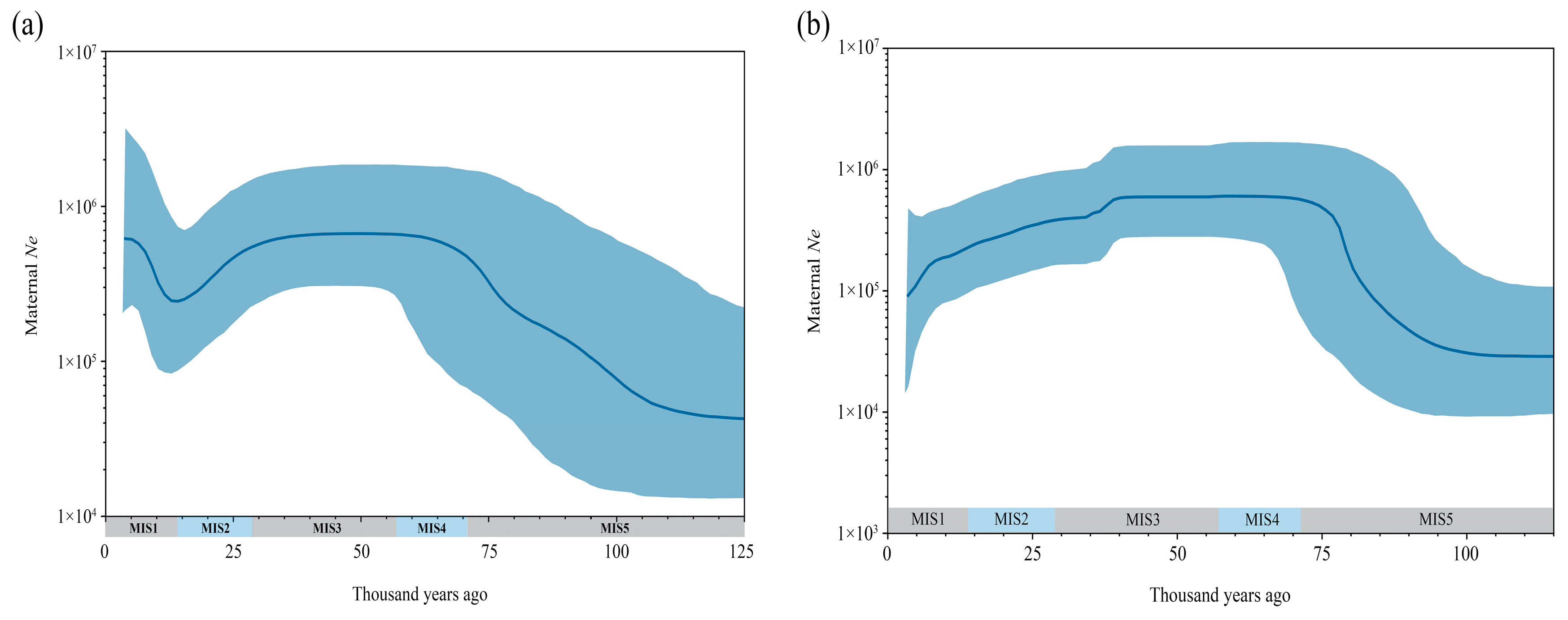 Genes 16 00639 g003 Genes 16 00639 g003