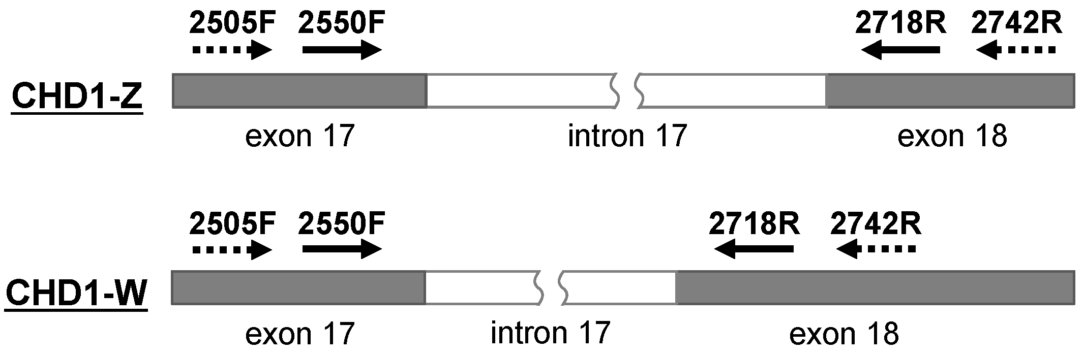 Genes 16 00653 g001 Genes 16 00653 g001