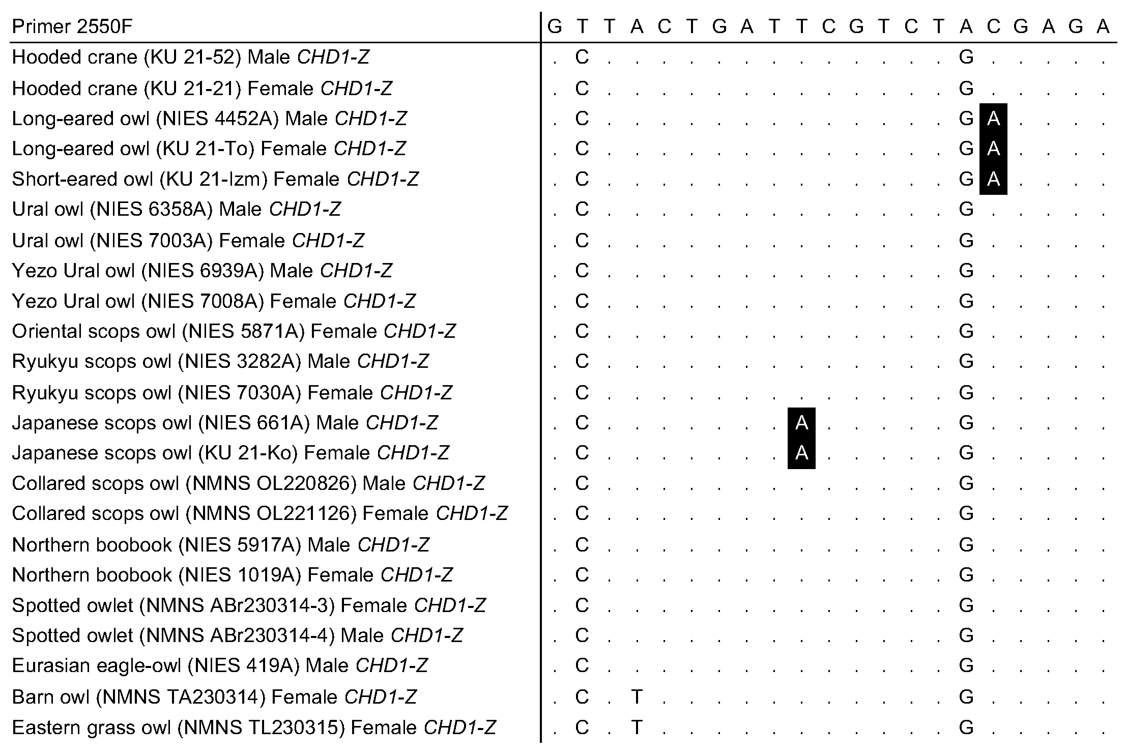 Genes 16 00653 g005 Genes 16 00653 g005