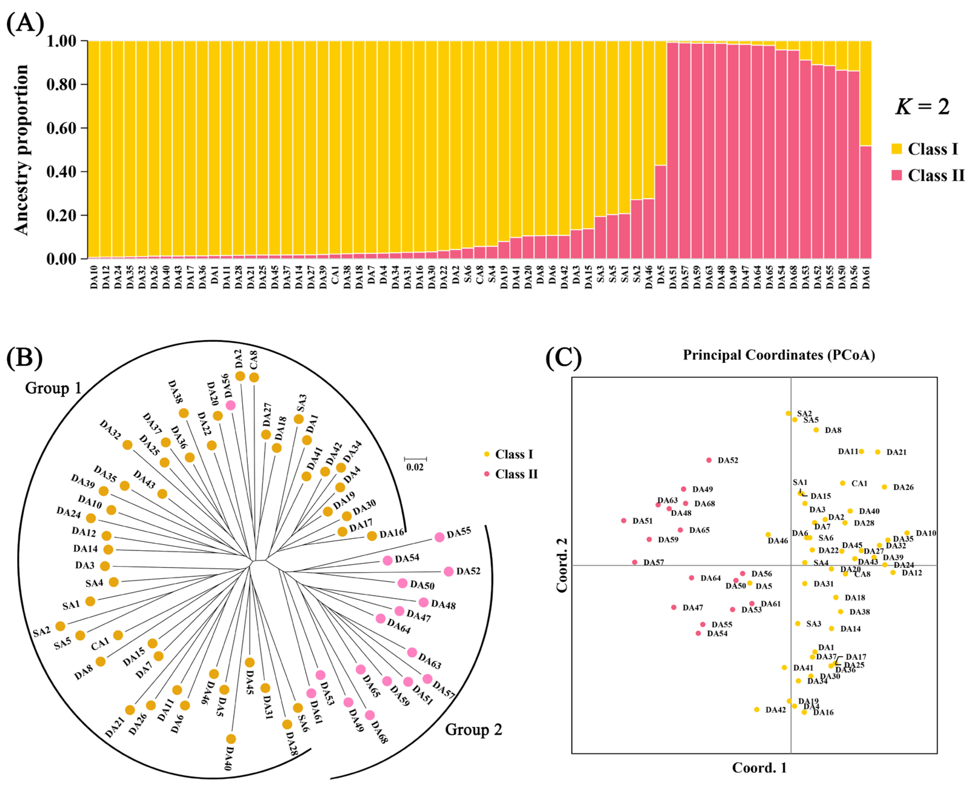 Genes 16 00664 g005