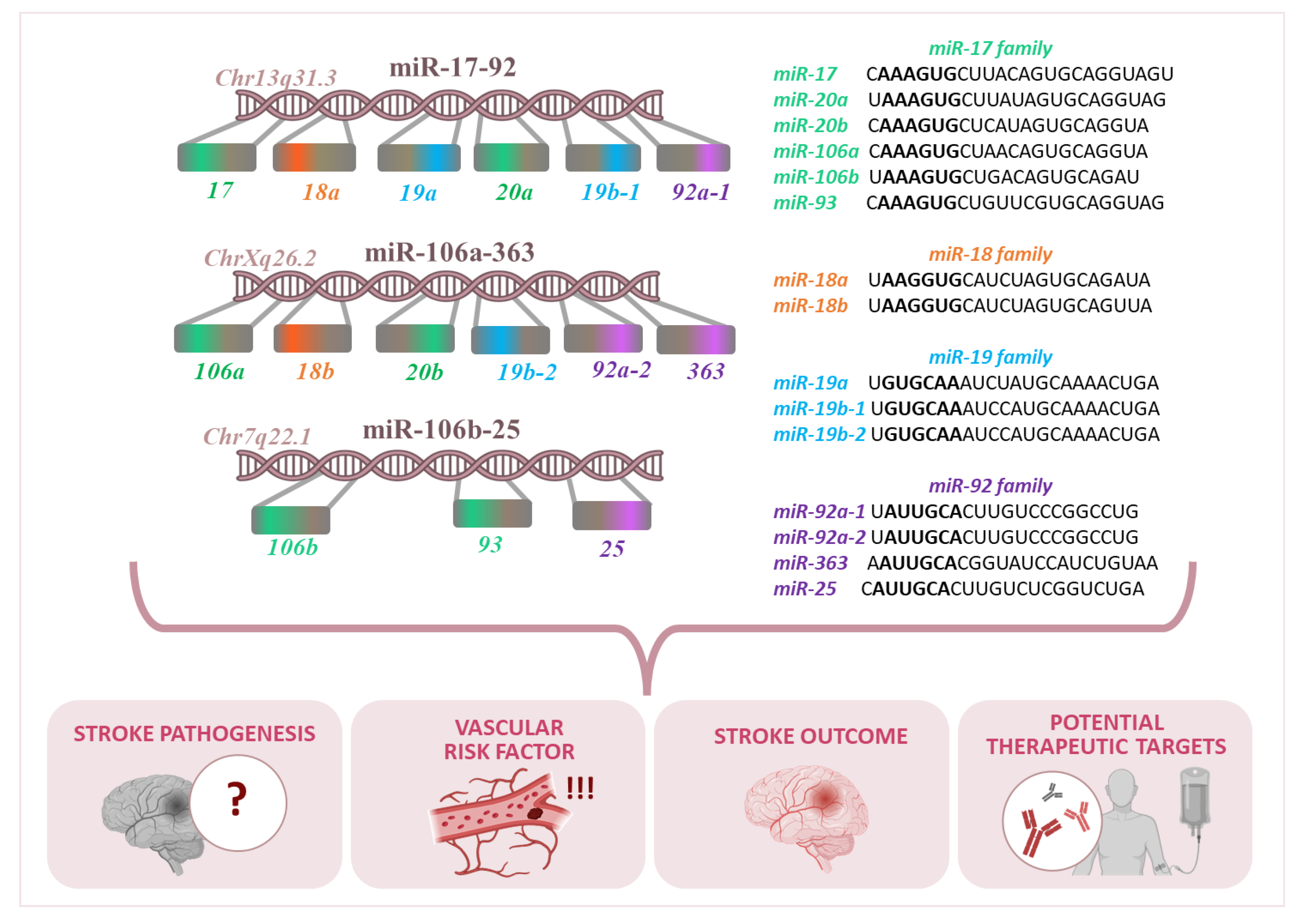 Genes 16 00665 g001