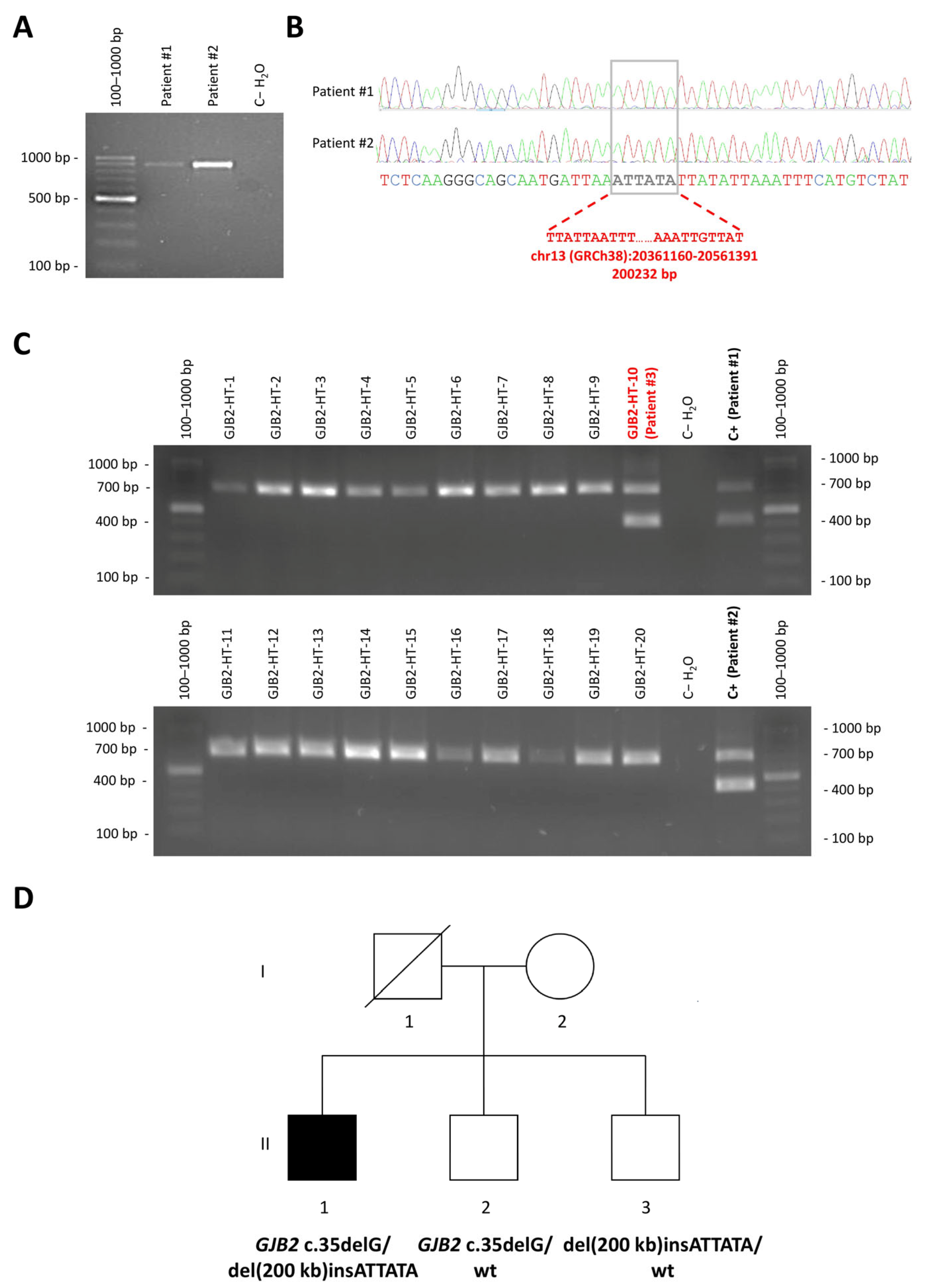 Genes 16 00670 g003