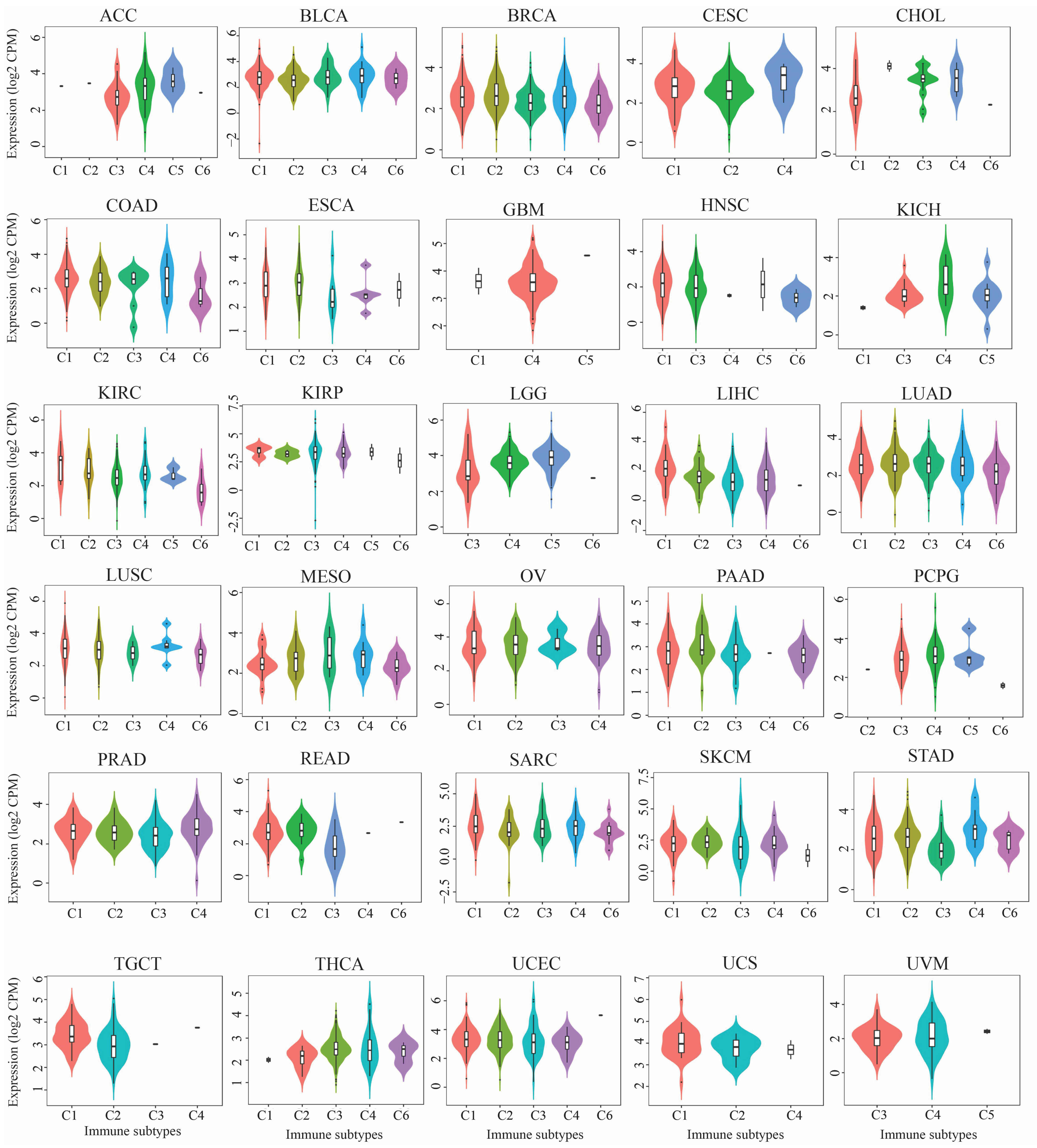 Genes 16 00674 g006