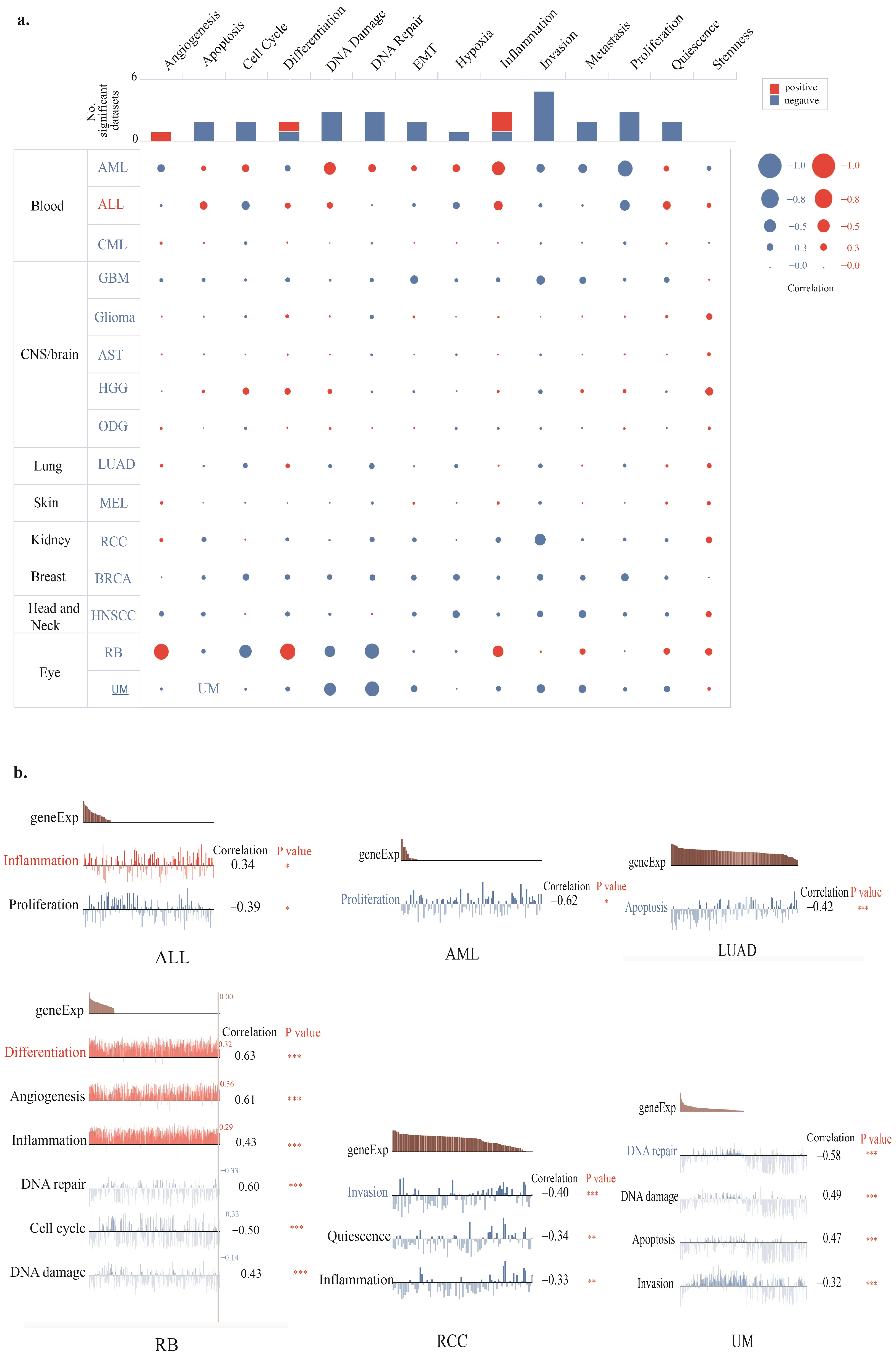 Genes 16 00674 g010
