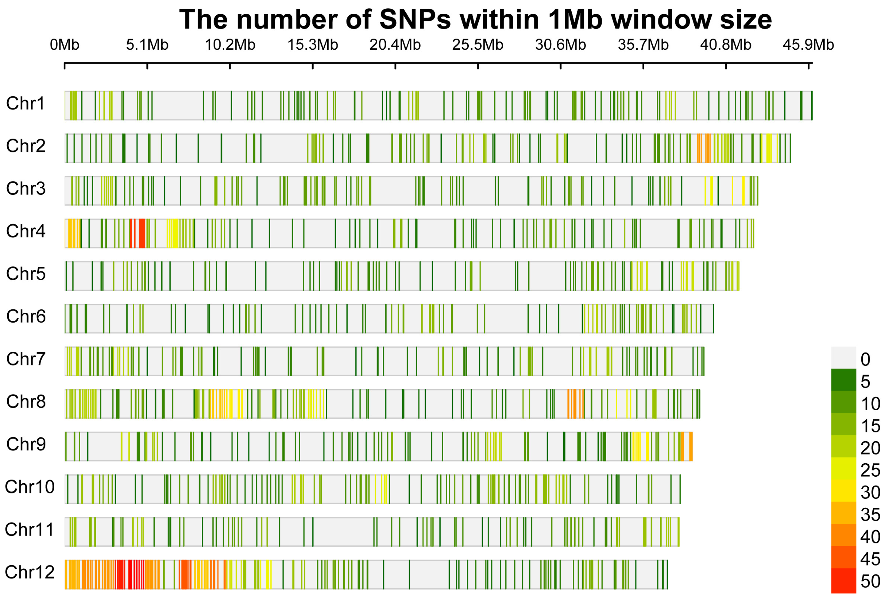 Genes 16 00675 g002
