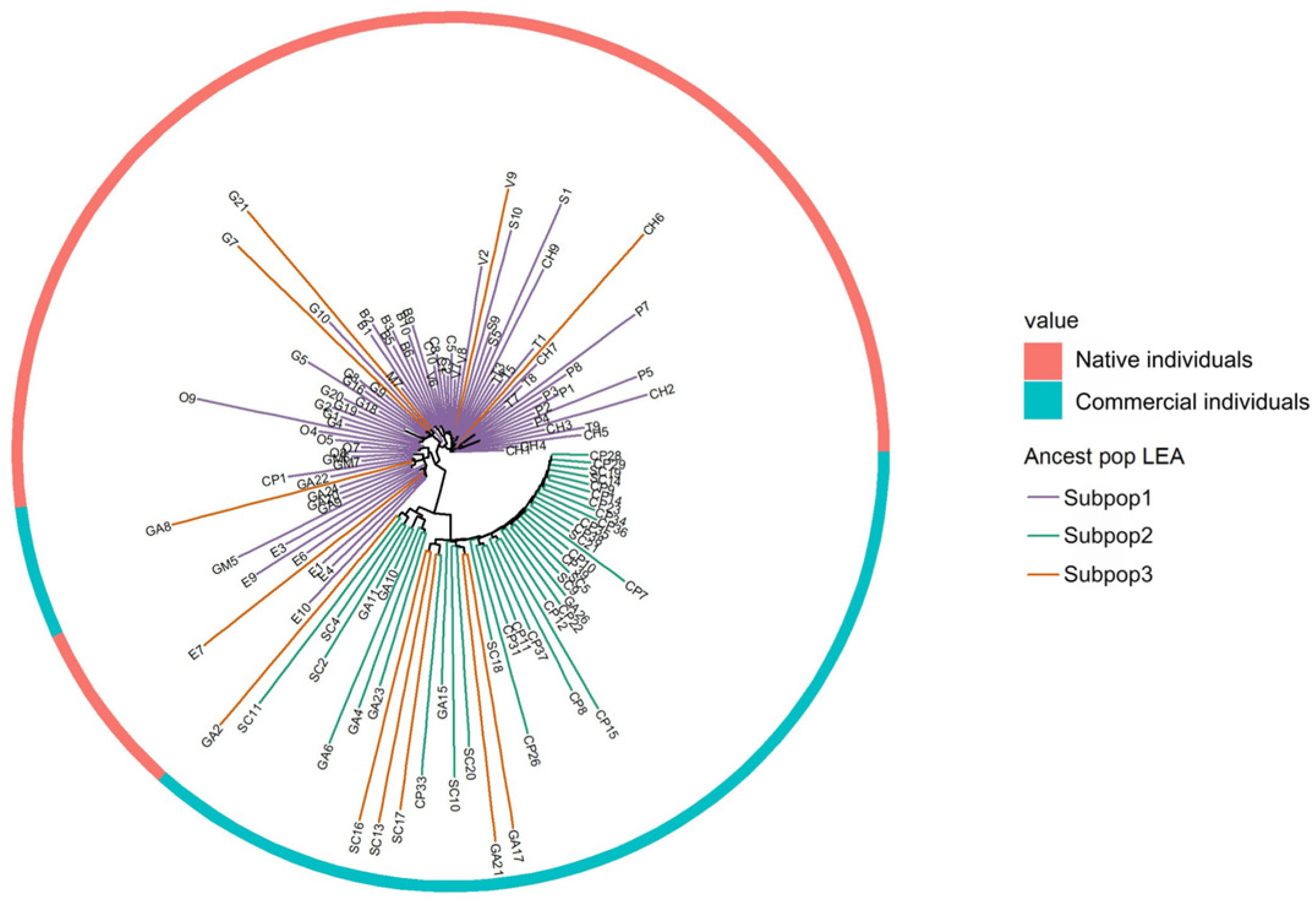 Genes 16 00675 g004