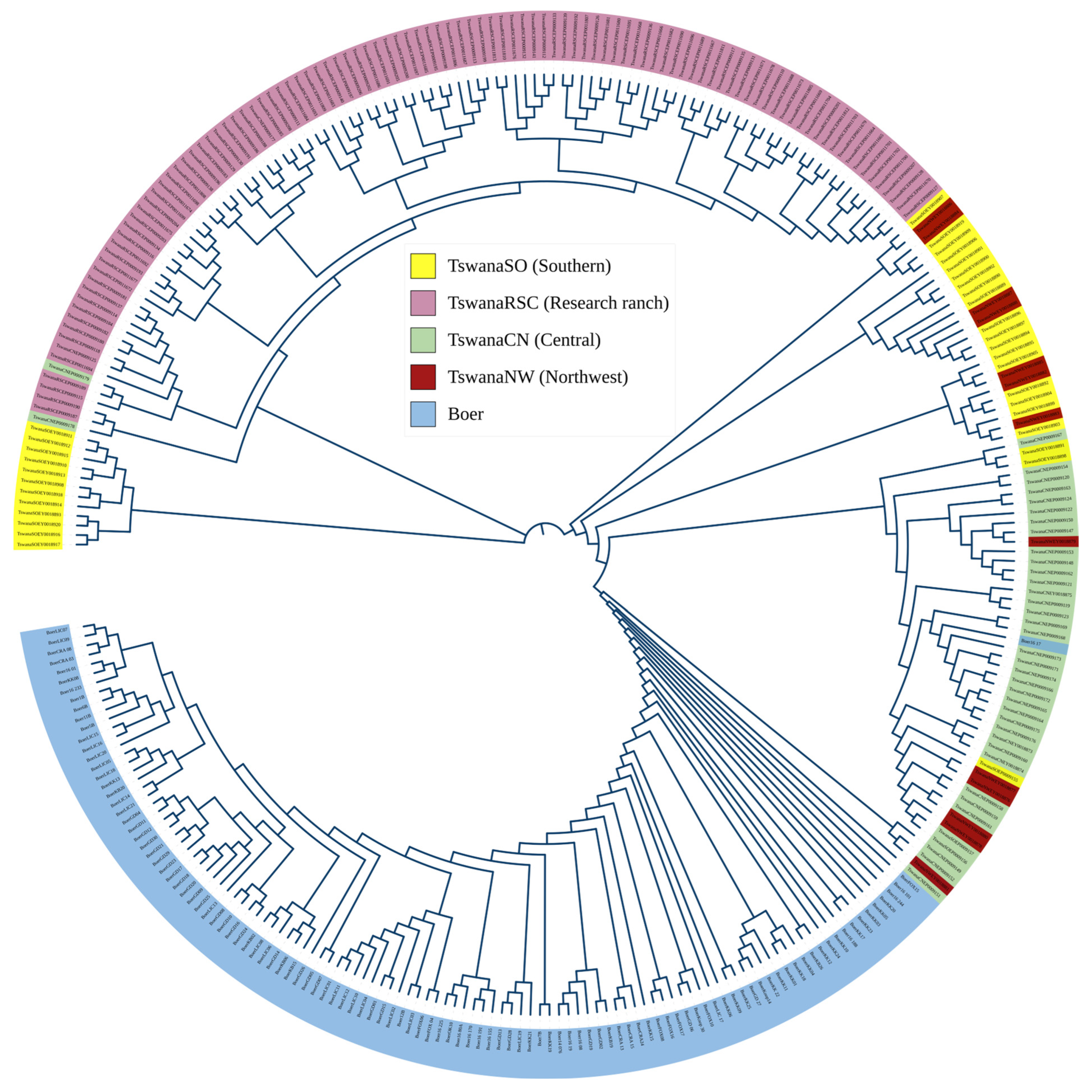 Genes 16 00678 g005