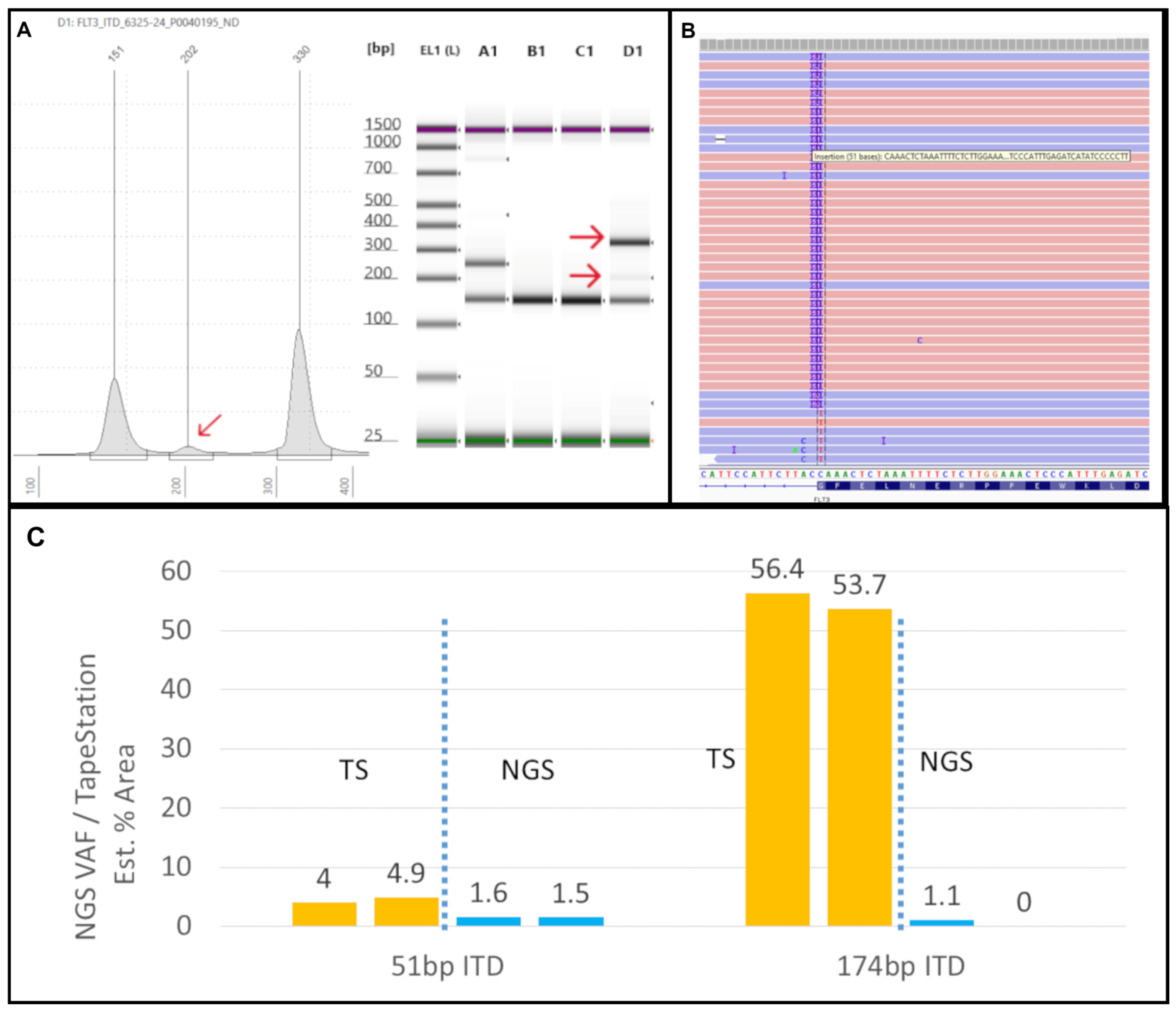 Genes 16 00684 g003