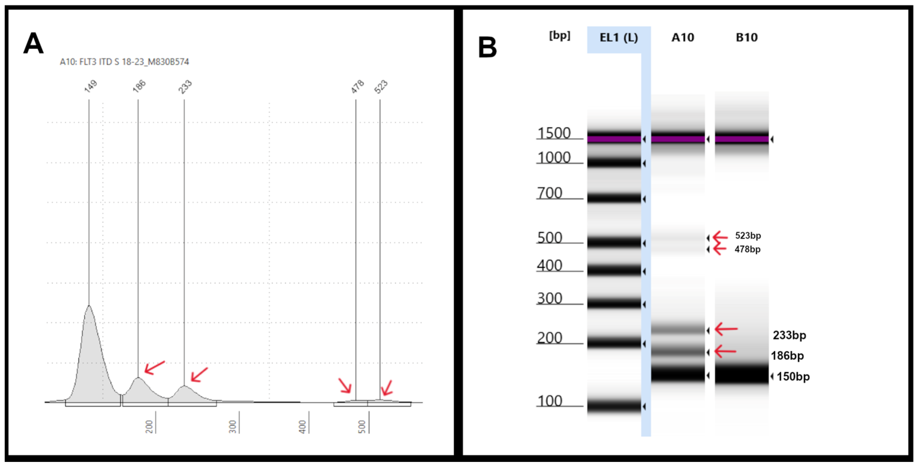 Genes 16 00684 g004