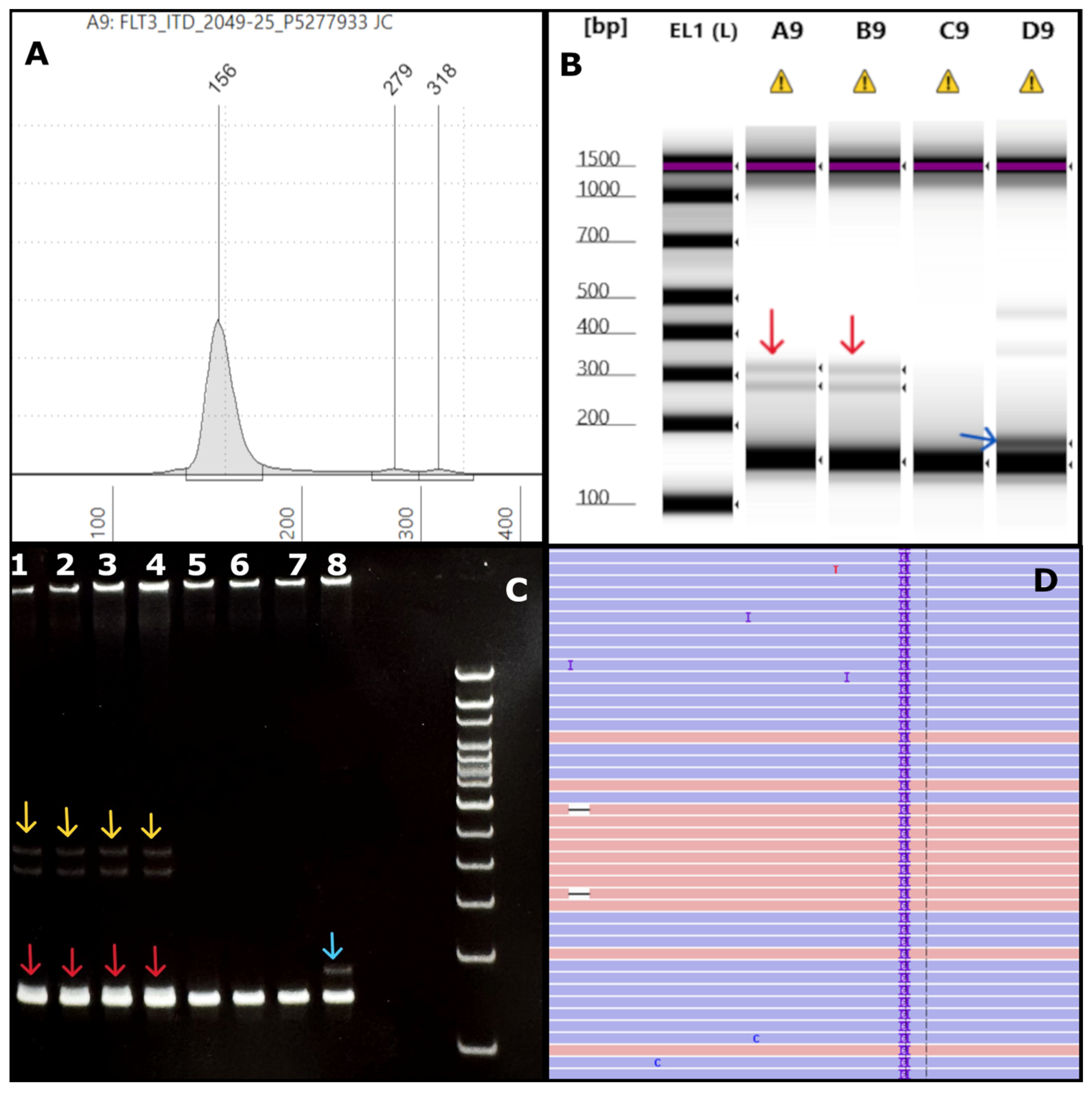 Genes 16 00684 g006