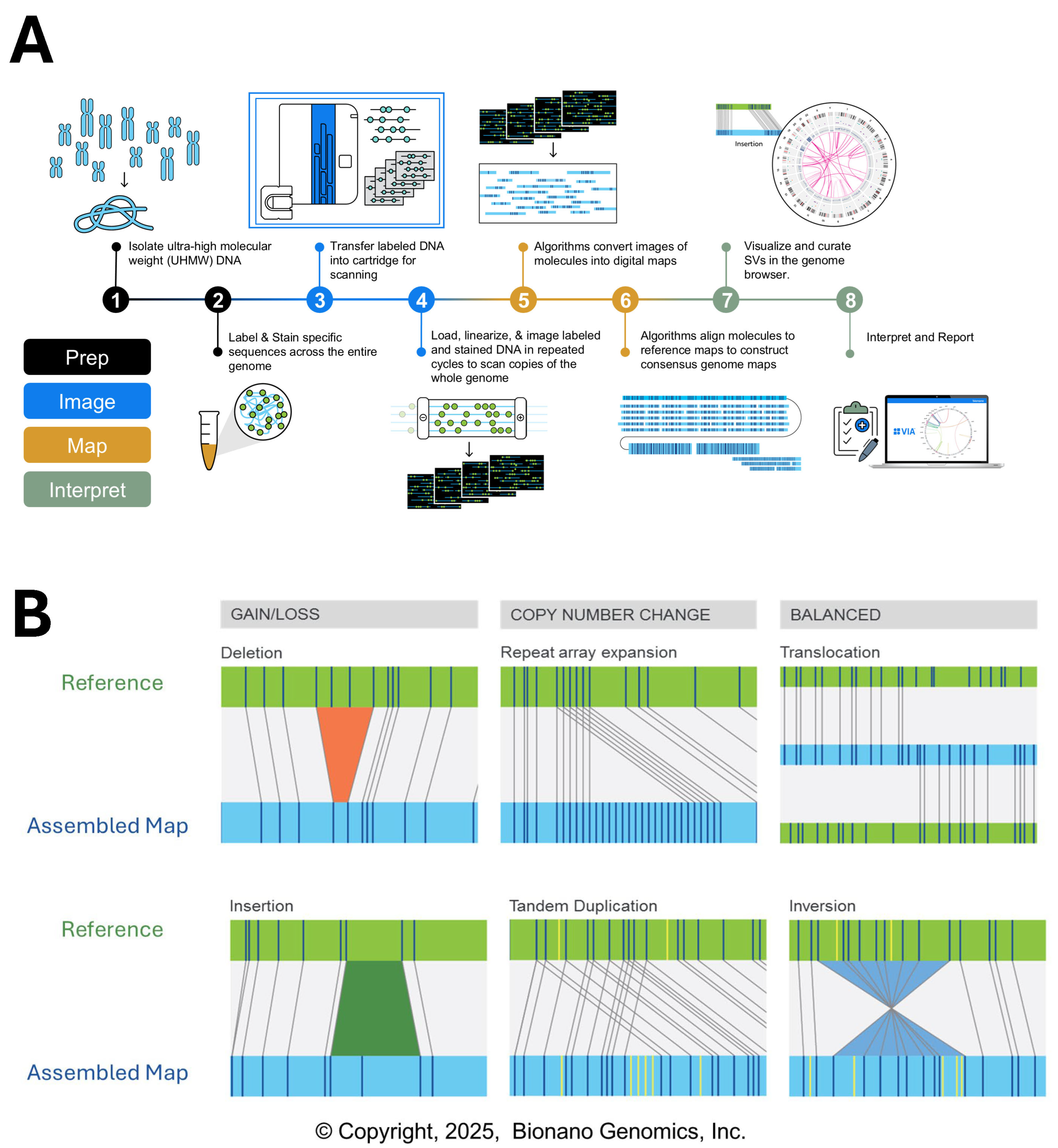 Genes 16 00688 g002 Genes 16 00688 g002