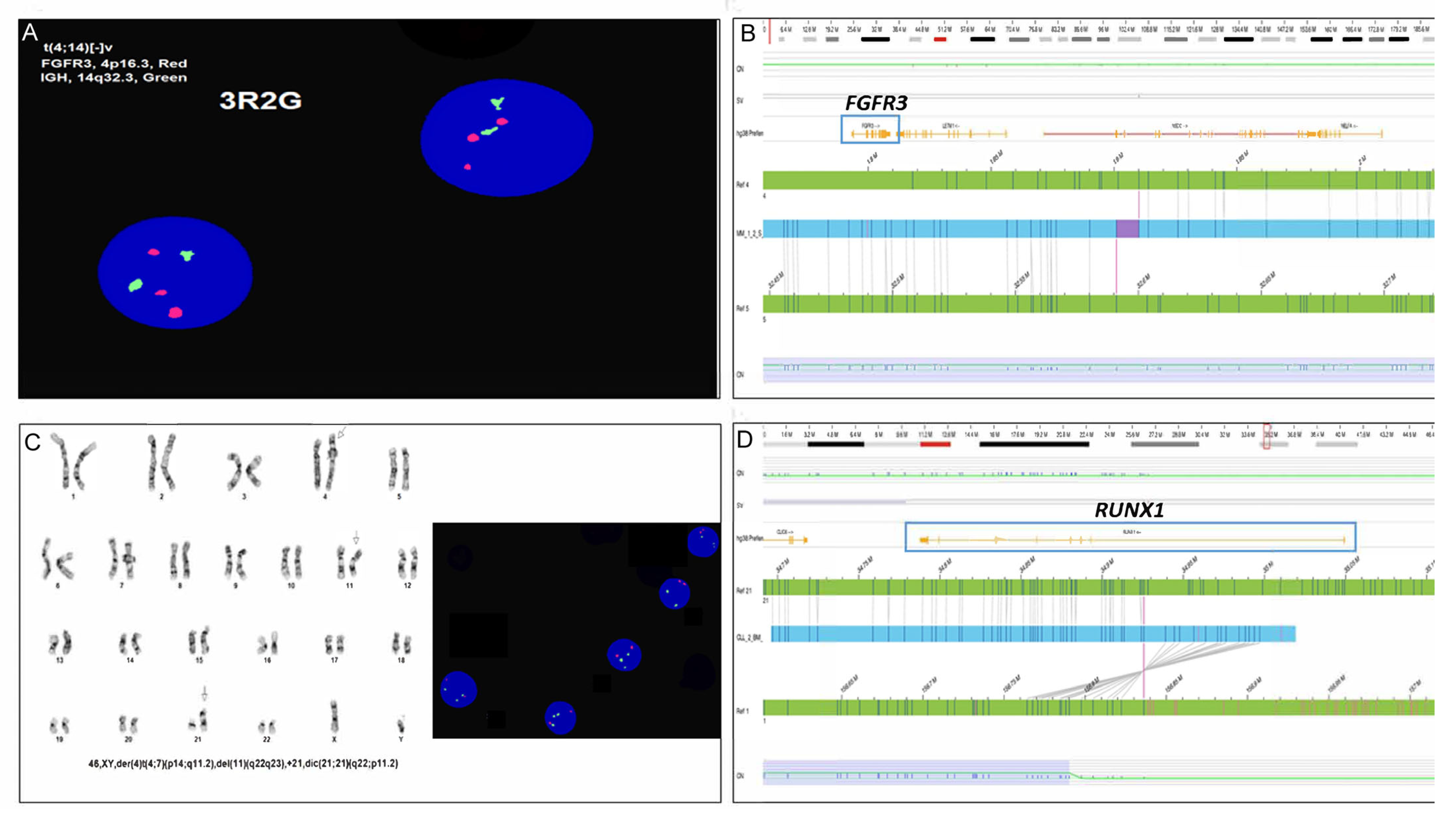 Genes 16 00688 g003 Genes 16 00688 g003