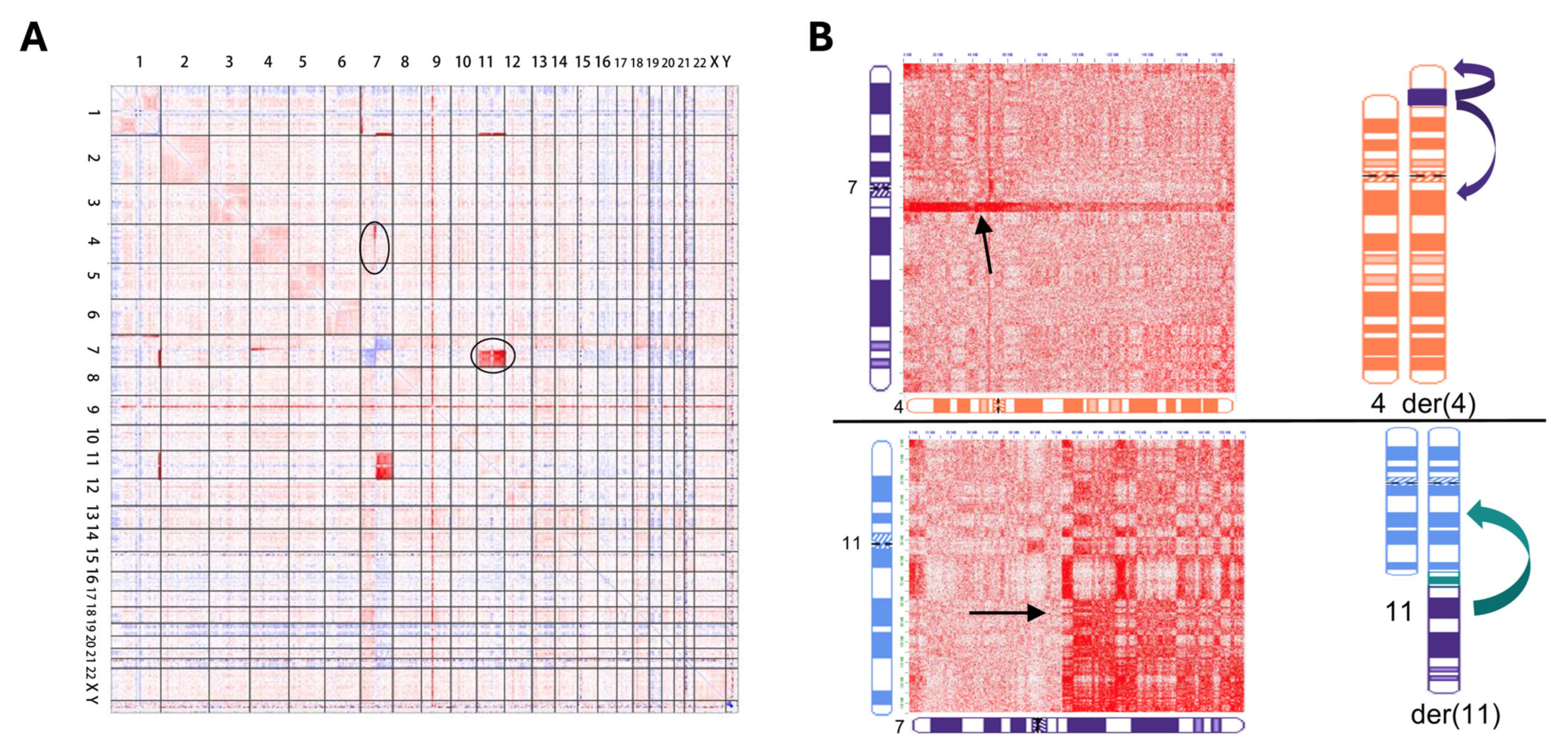Genes 16 00688 g005 Genes 16 00688 g005
