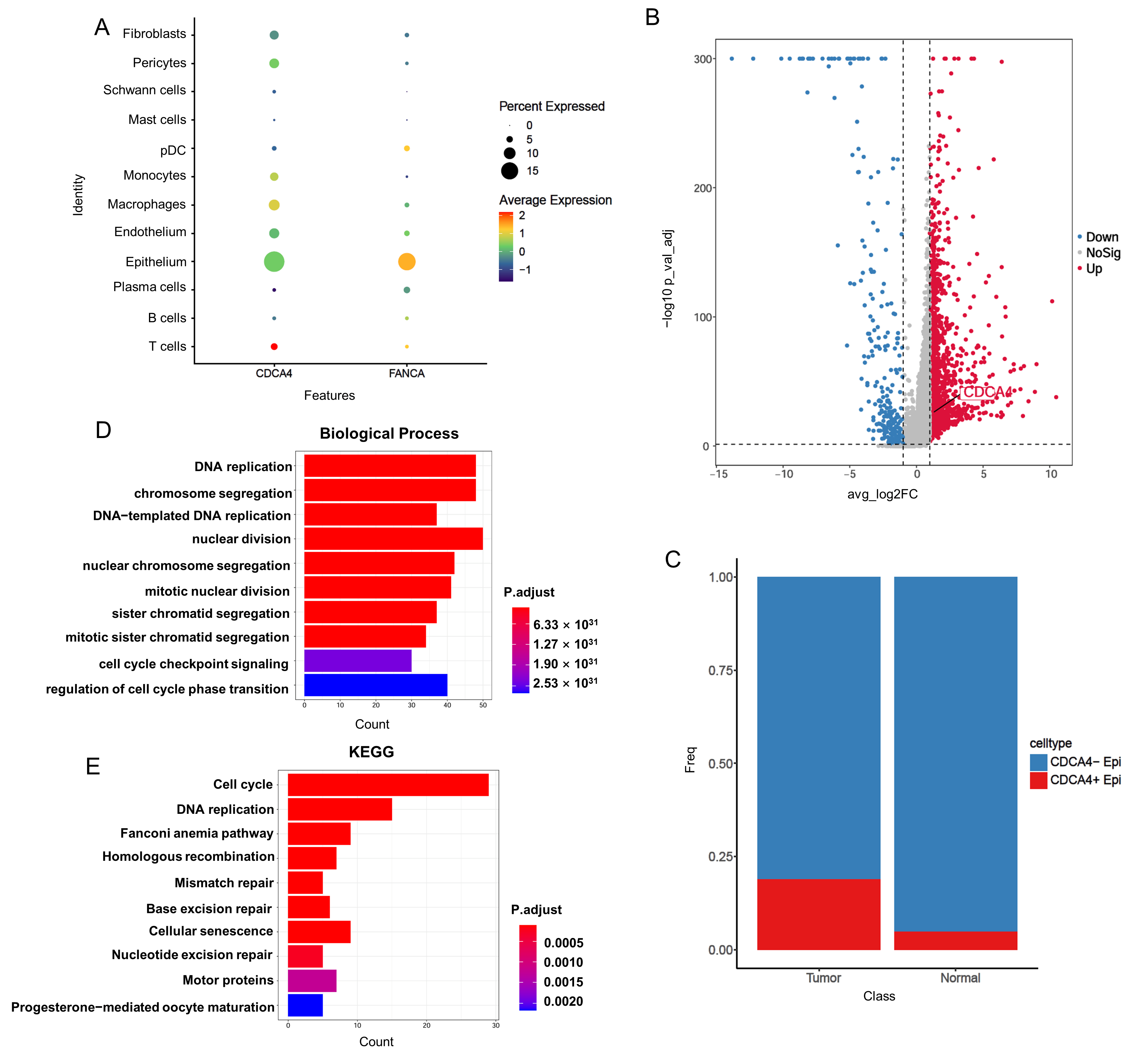 Genes 16 00696 g007