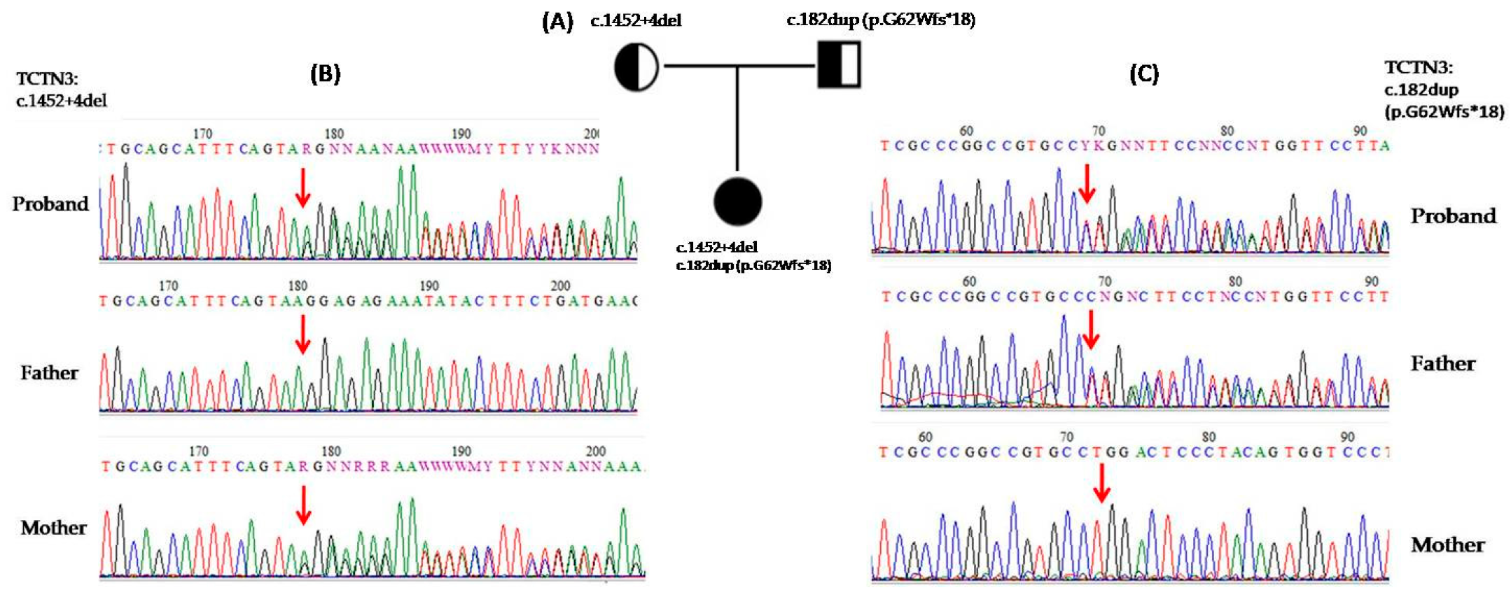 Genes 16 00706 g002