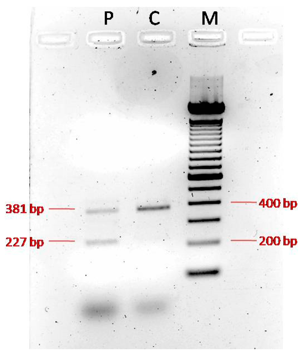 Genes 16 00706 g003