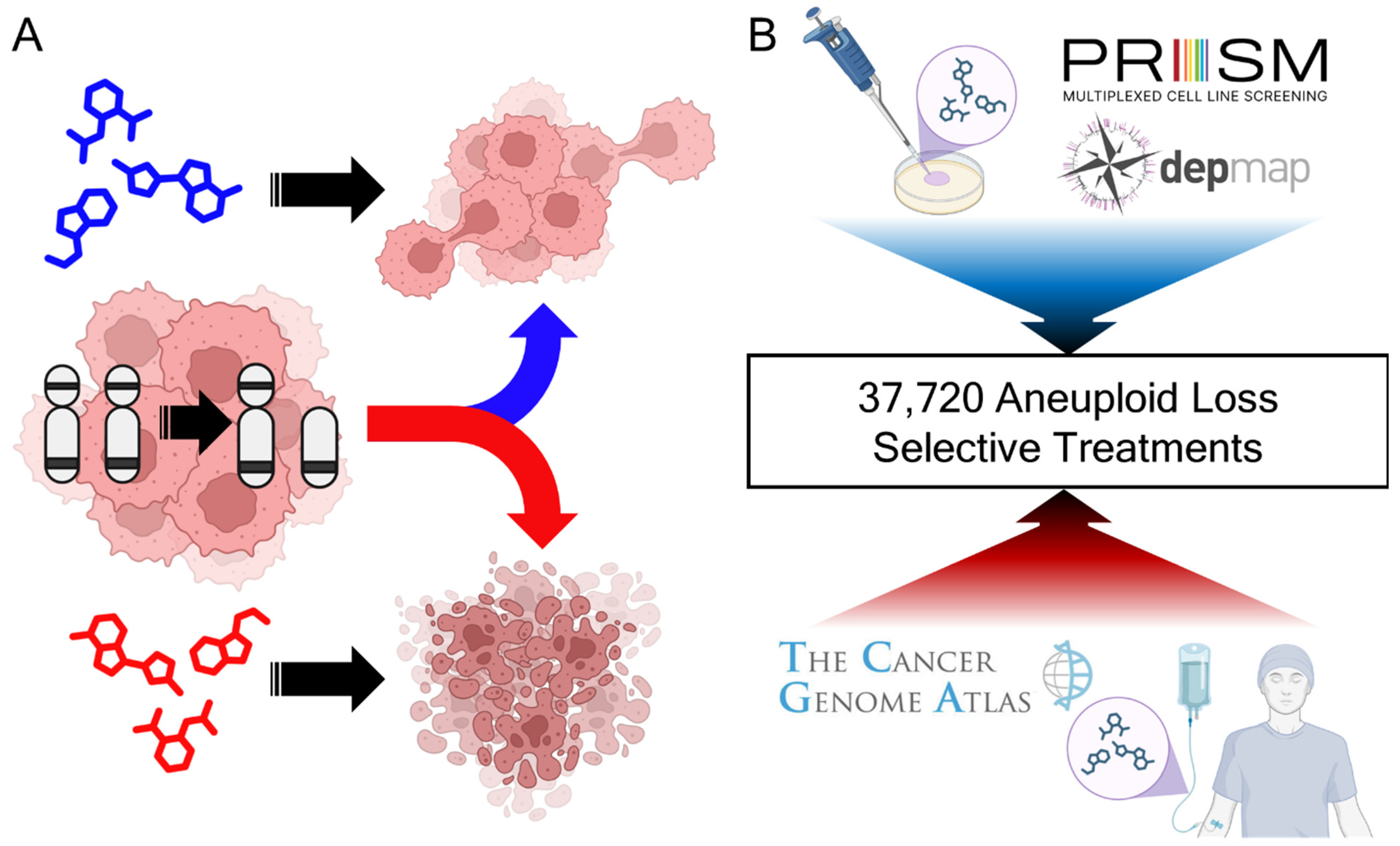 Genes 16 00708 g001 Genes 16 00708 g001