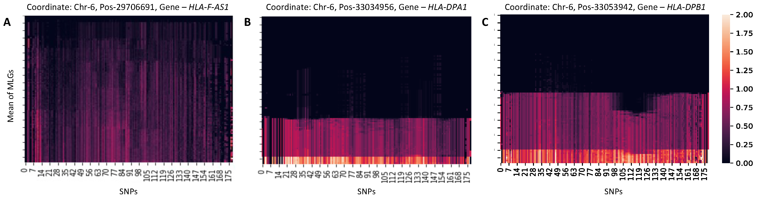 Genes 16 00710 g004