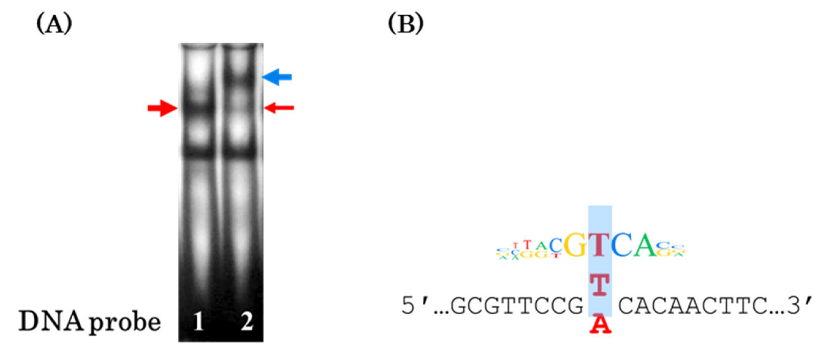 Genes 16 00713 g004