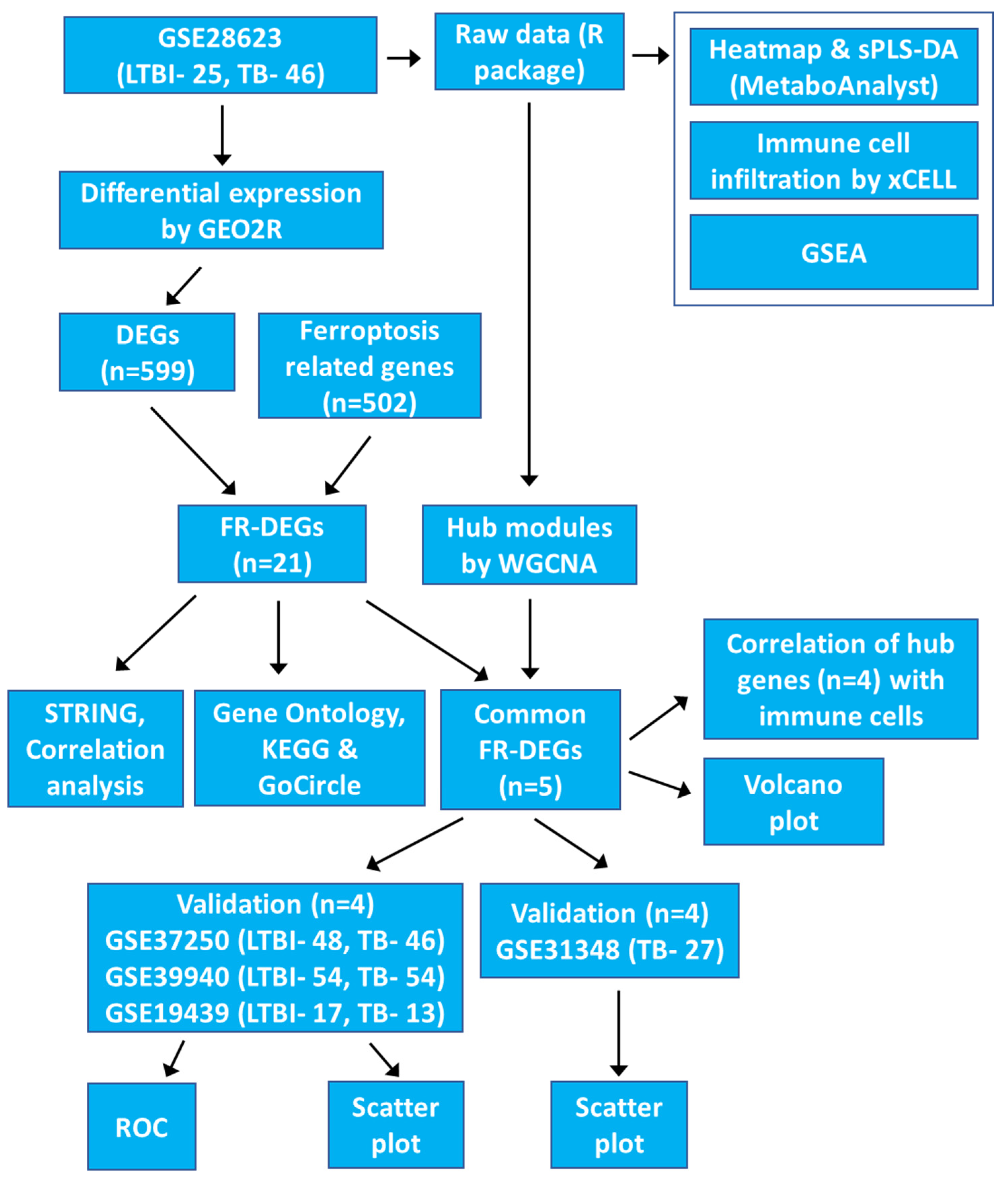 Genes 16 00716 g001