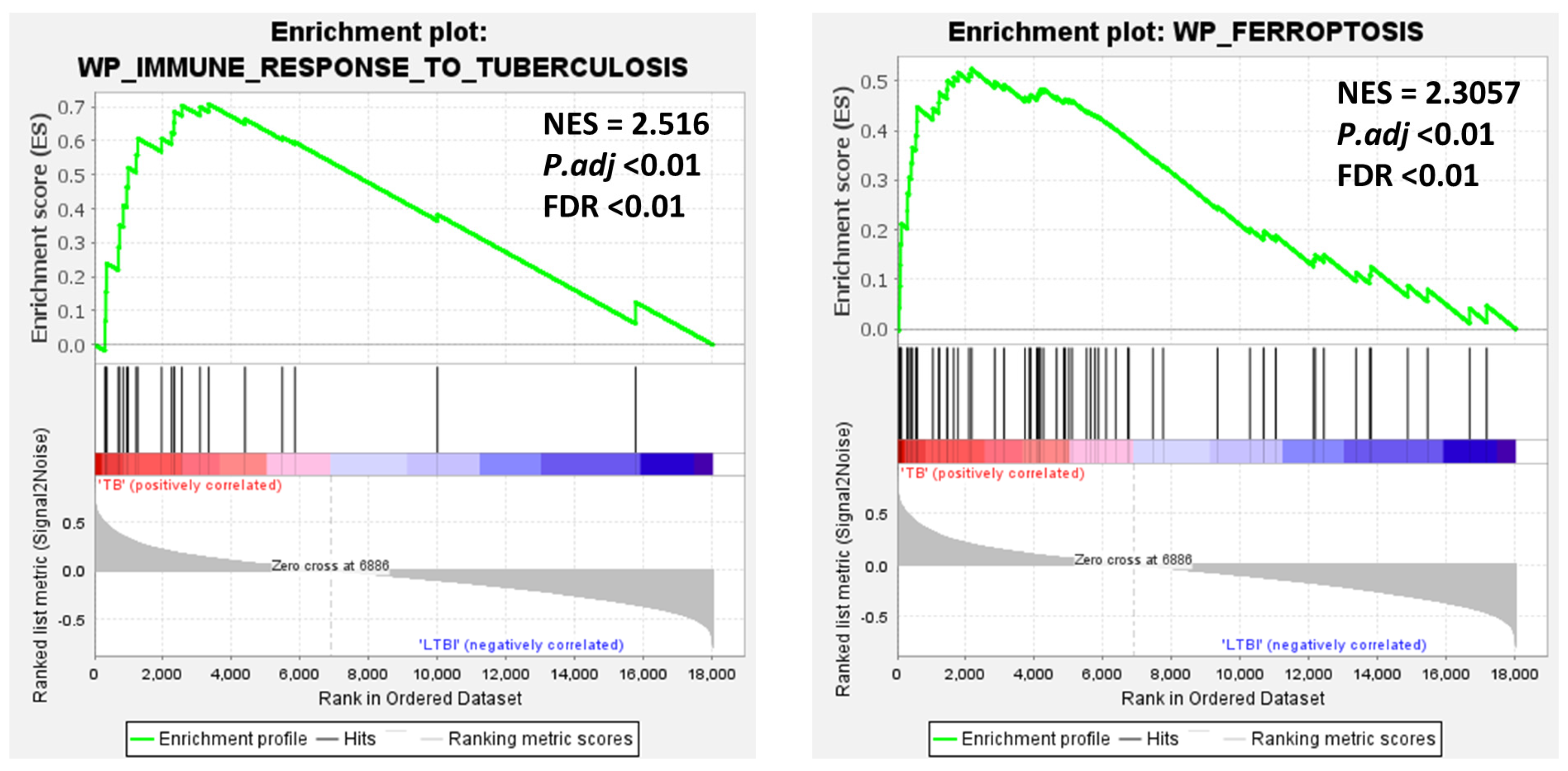 Genes 16 00716 g004