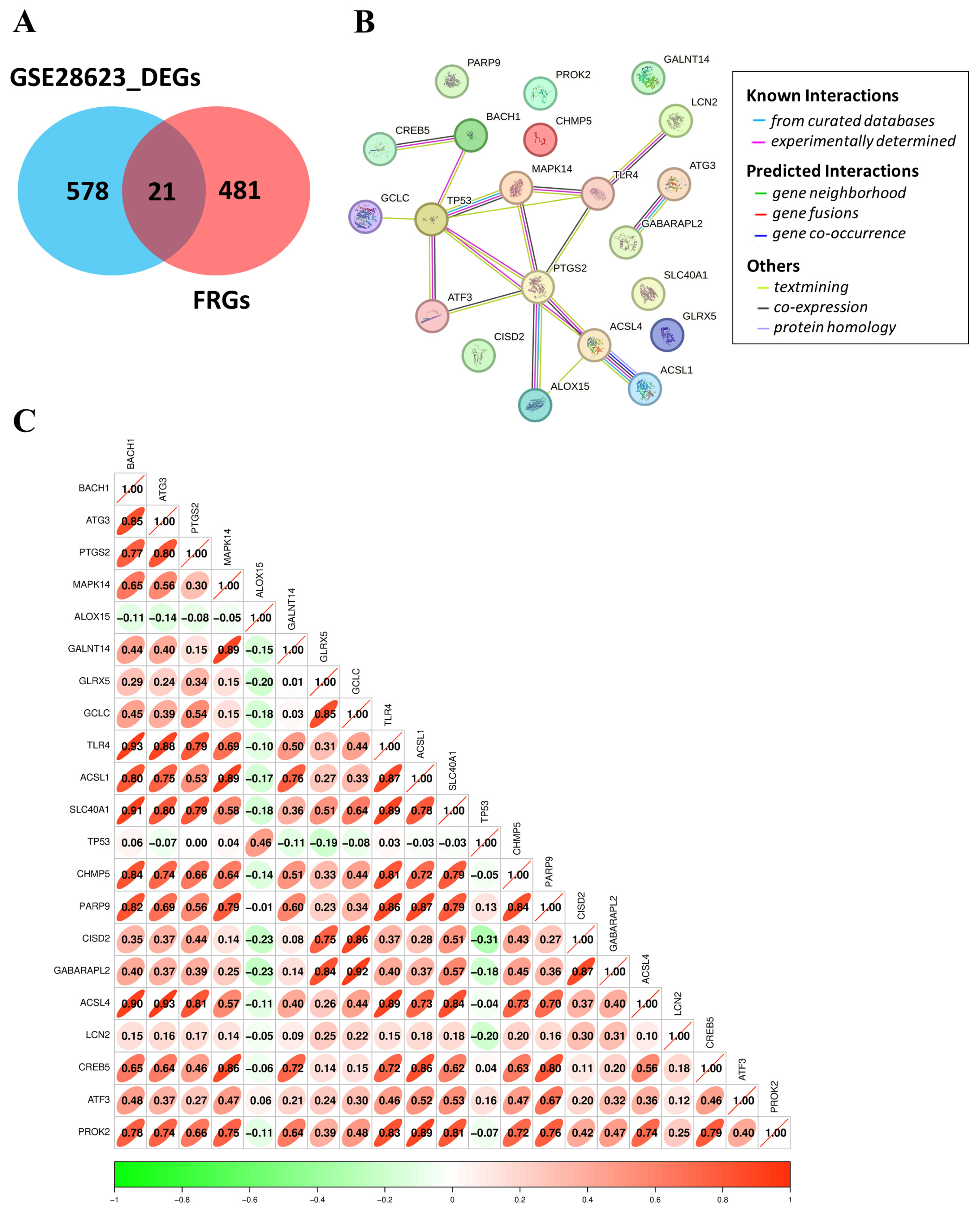 Genes 16 00716 g005