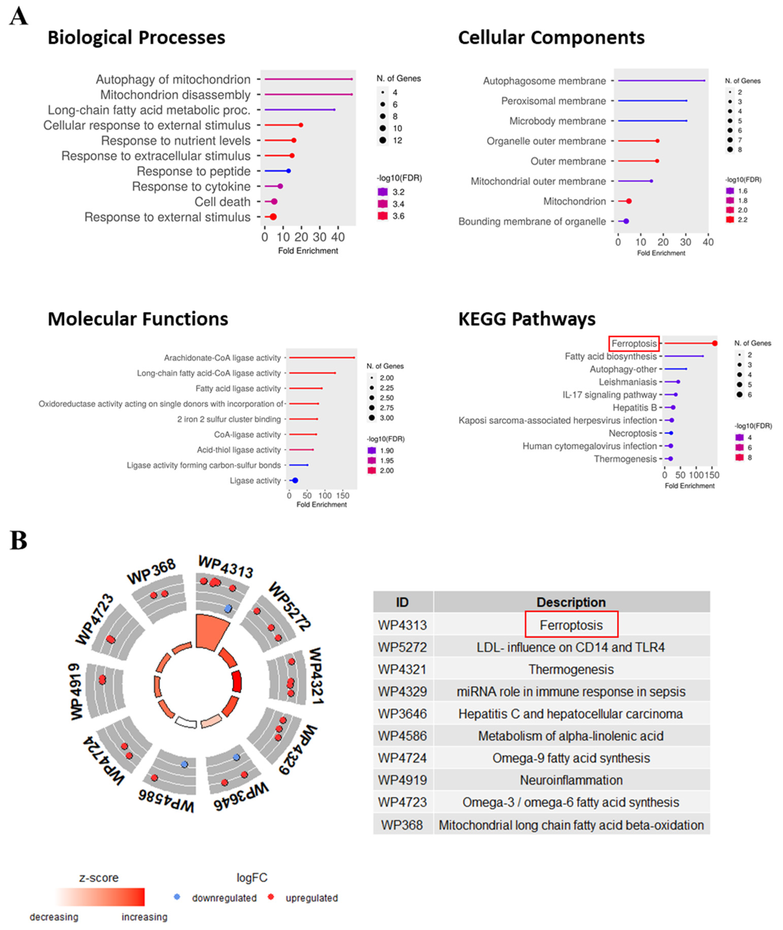 Genes 16 00716 g006