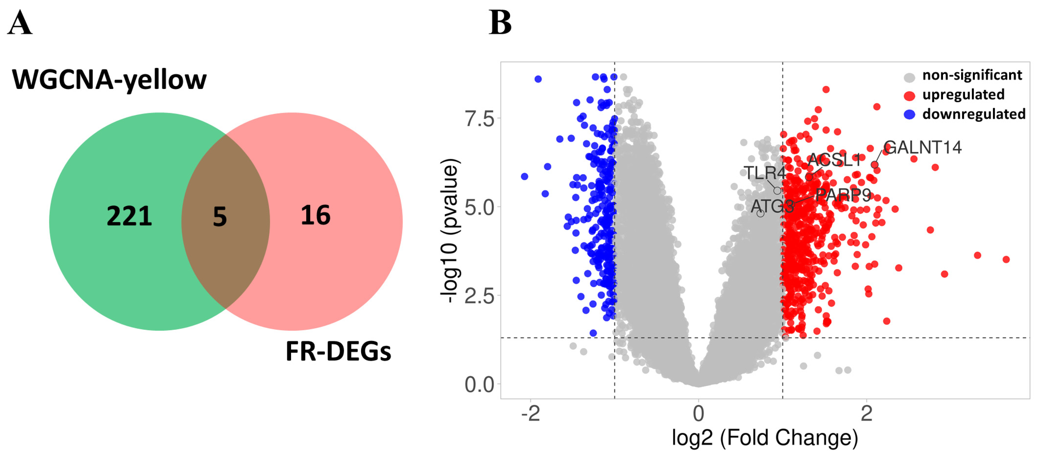 Genes 16 00716 g008