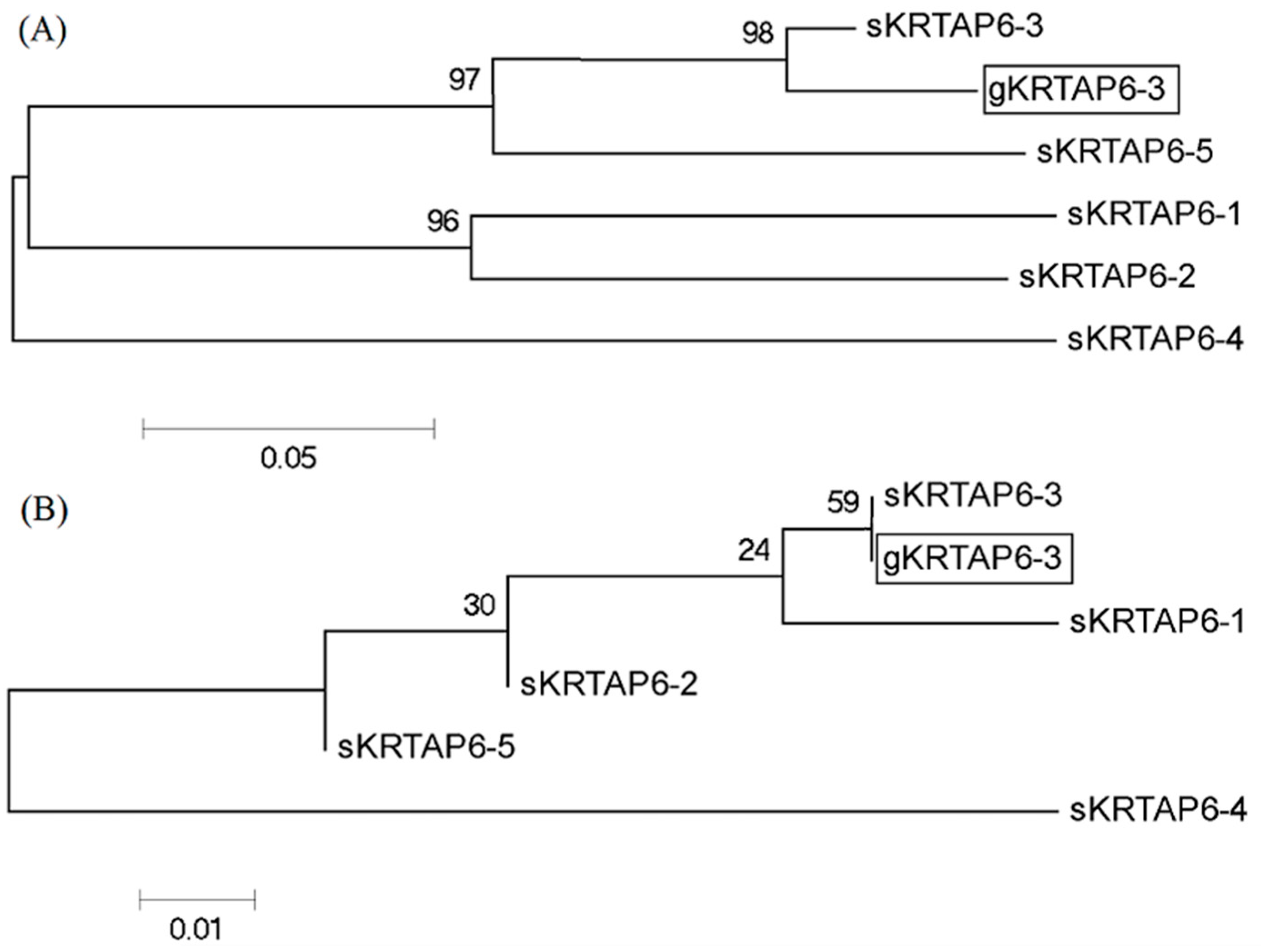 Genes 16 00721 g001