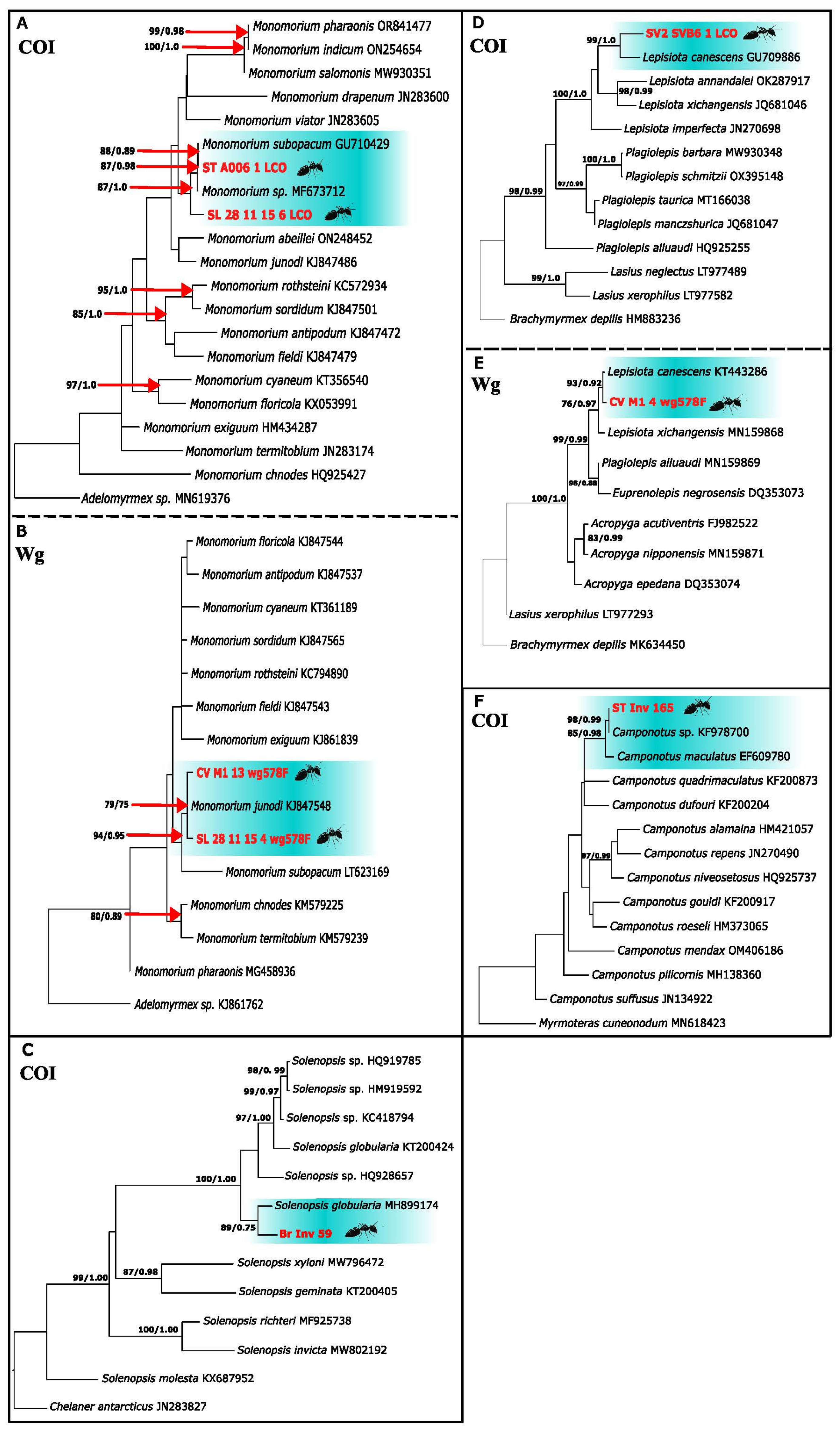 Genes 16 00725 g003
